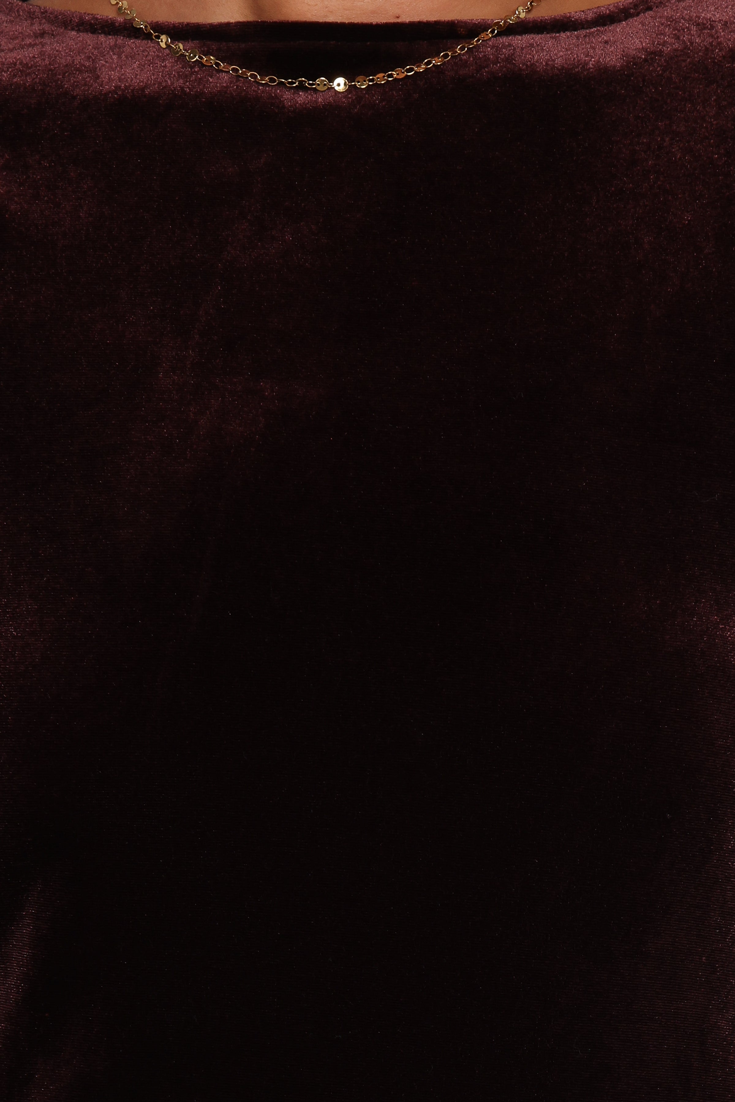 Twylar Long Sleeve Velvet Mini Dress - Brown