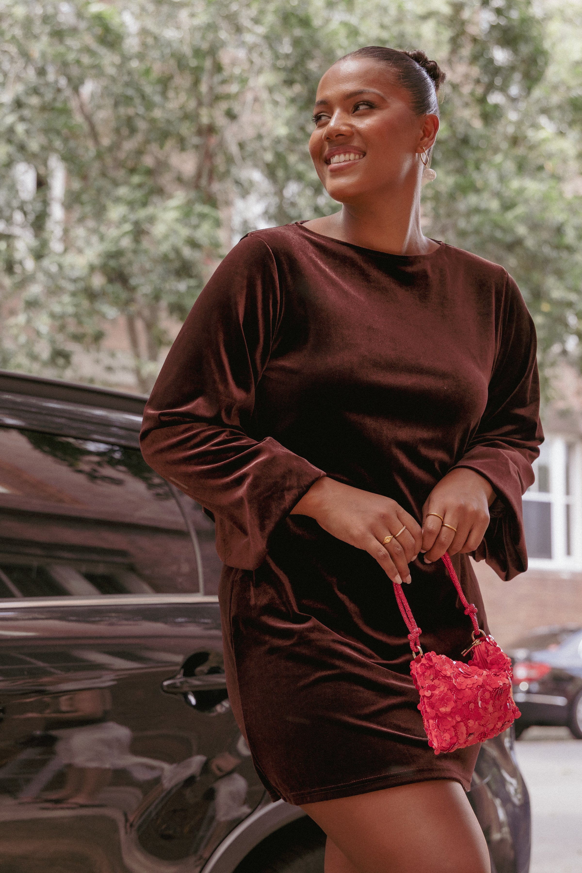 Twylar Long Sleeve Velvet Mini Dress - Brown