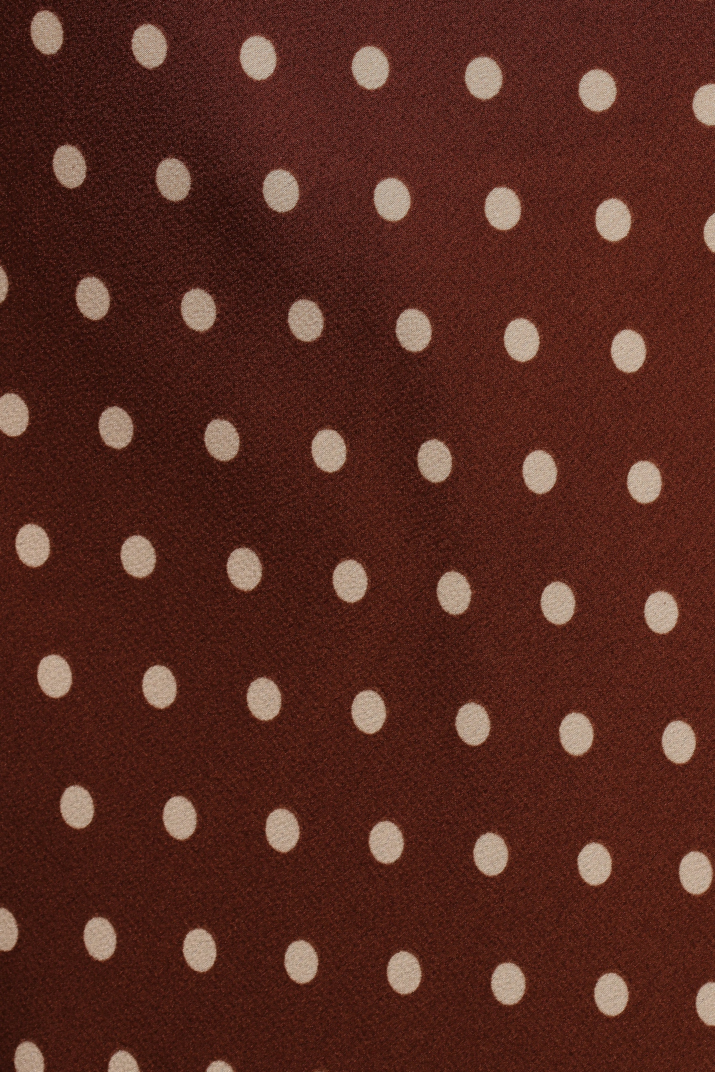 Velman Skirt - Brown Polka Dot