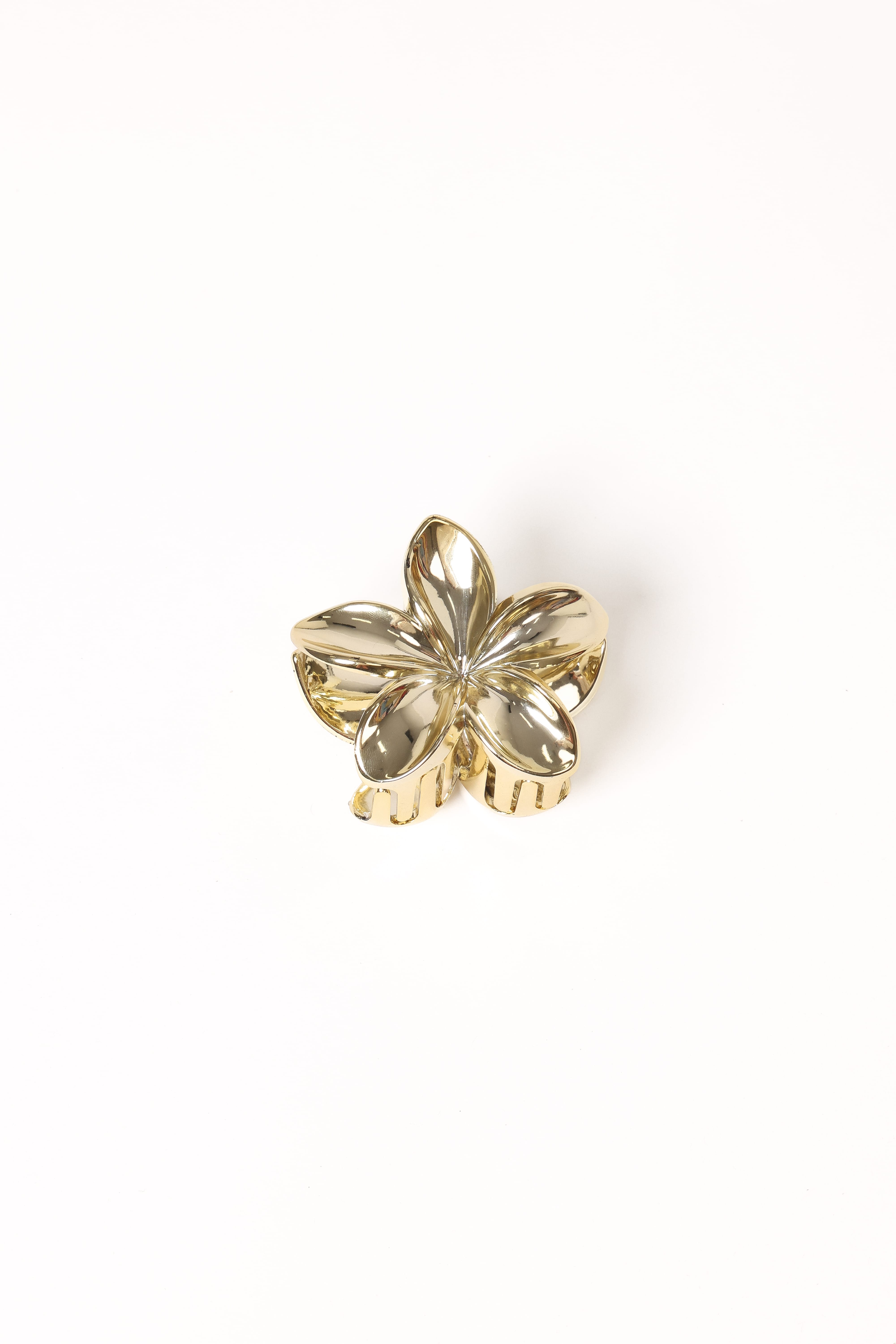 Petal and Pup USA ACCESSORIES Tiarne Hair Clip - Gold One Size