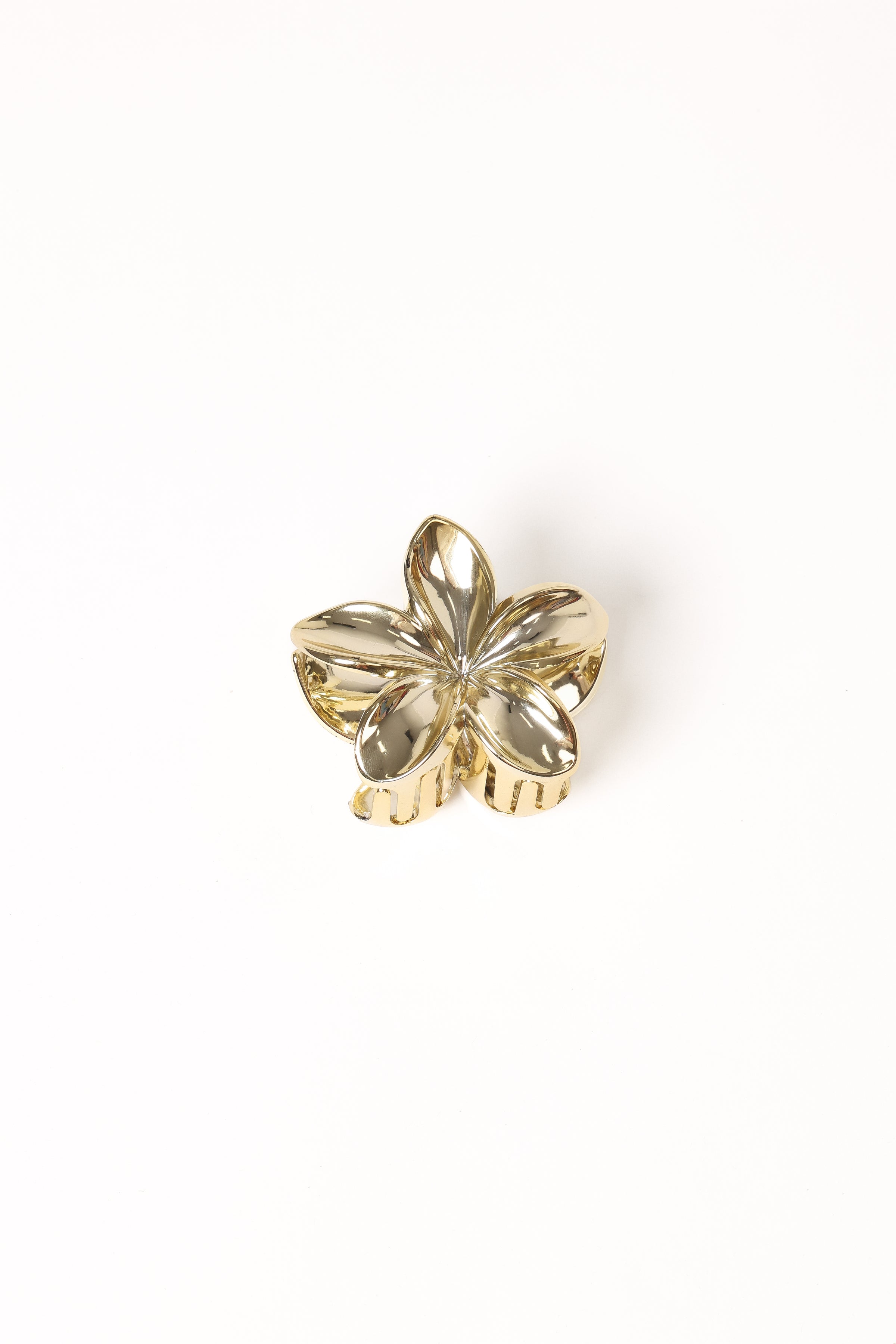Petal and Pup USA ACCESSORIES Tiarne Hair Clip - Gold One Size