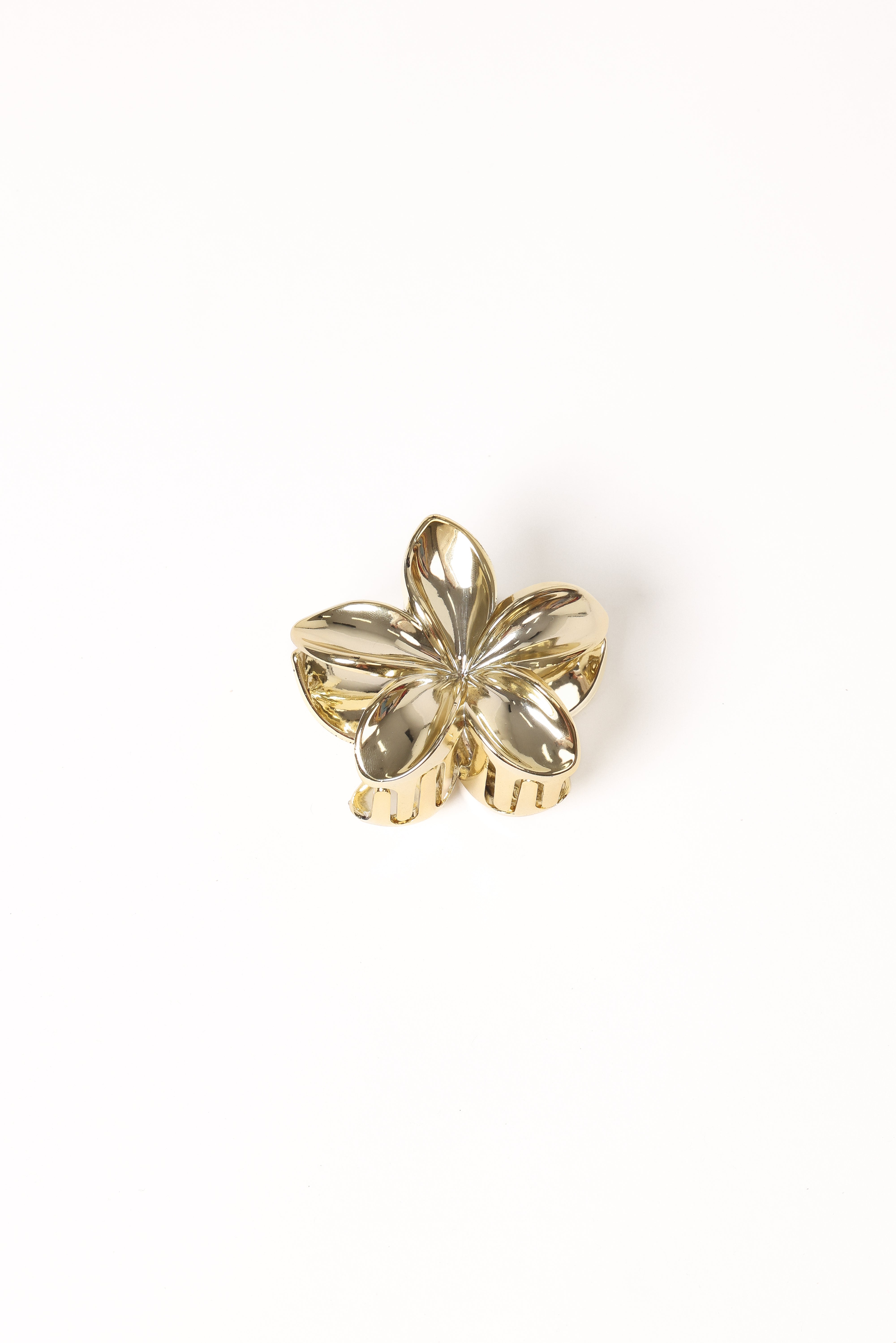 Petal and Pup USA ACCESSORIES Tiarne Hair Clip - Gold One Size