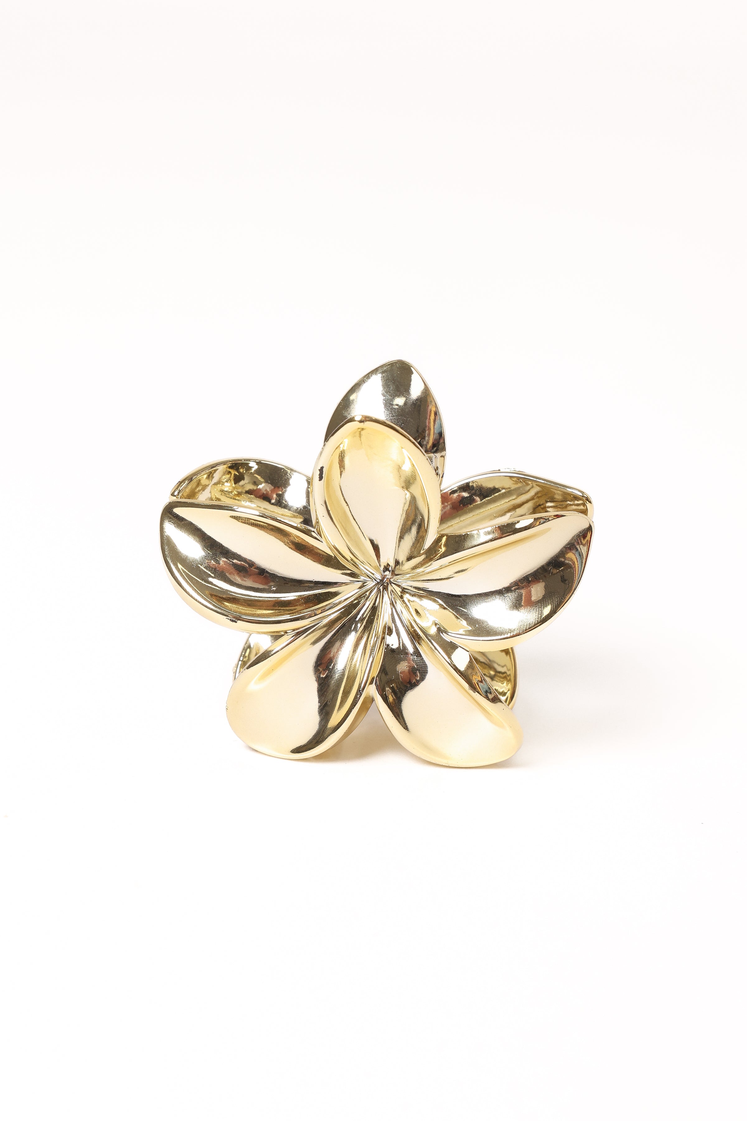 Petal and Pup USA ACCESSORIES Tiarne Hair Clip - Gold One Size