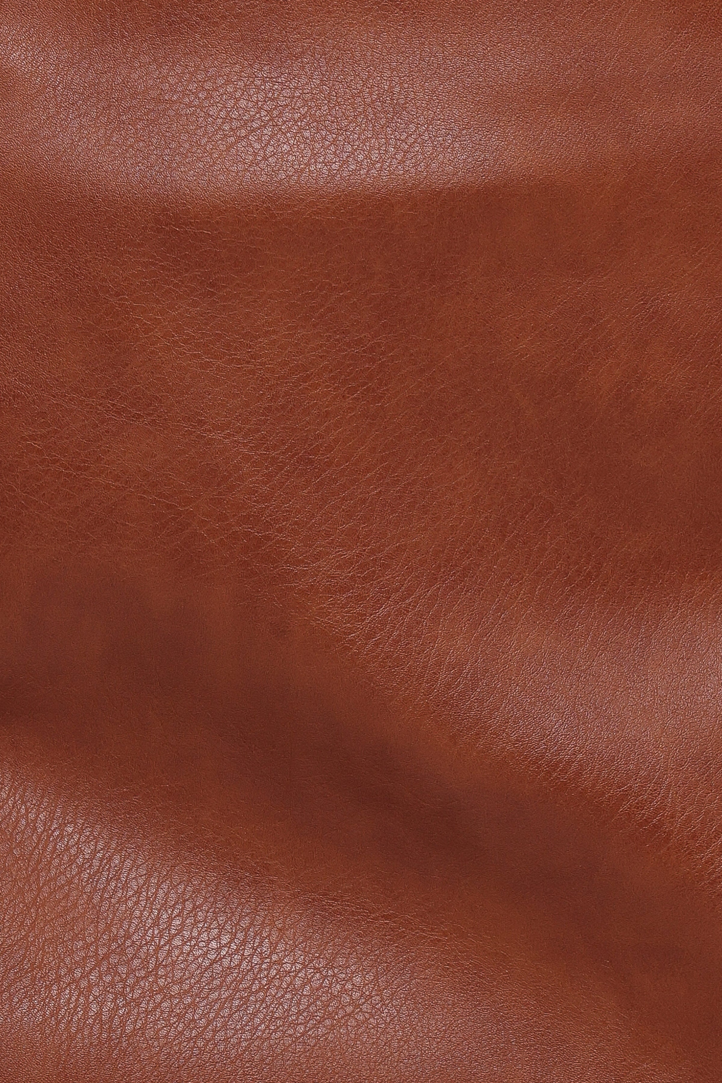 Petal and Pup USA BOTTOMS Catania Faux Leather Mini Skirt - Camel Brown