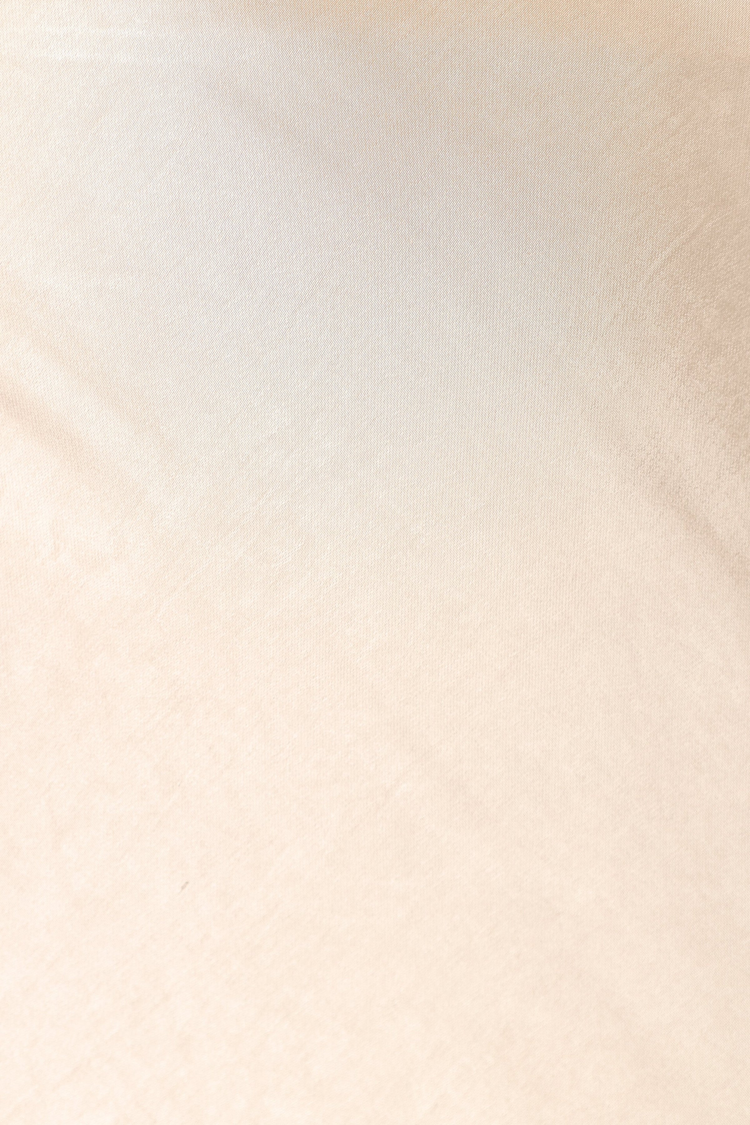 Petal and Pup USA BOTTOMS Melrose Maxi Skirt - Champagne