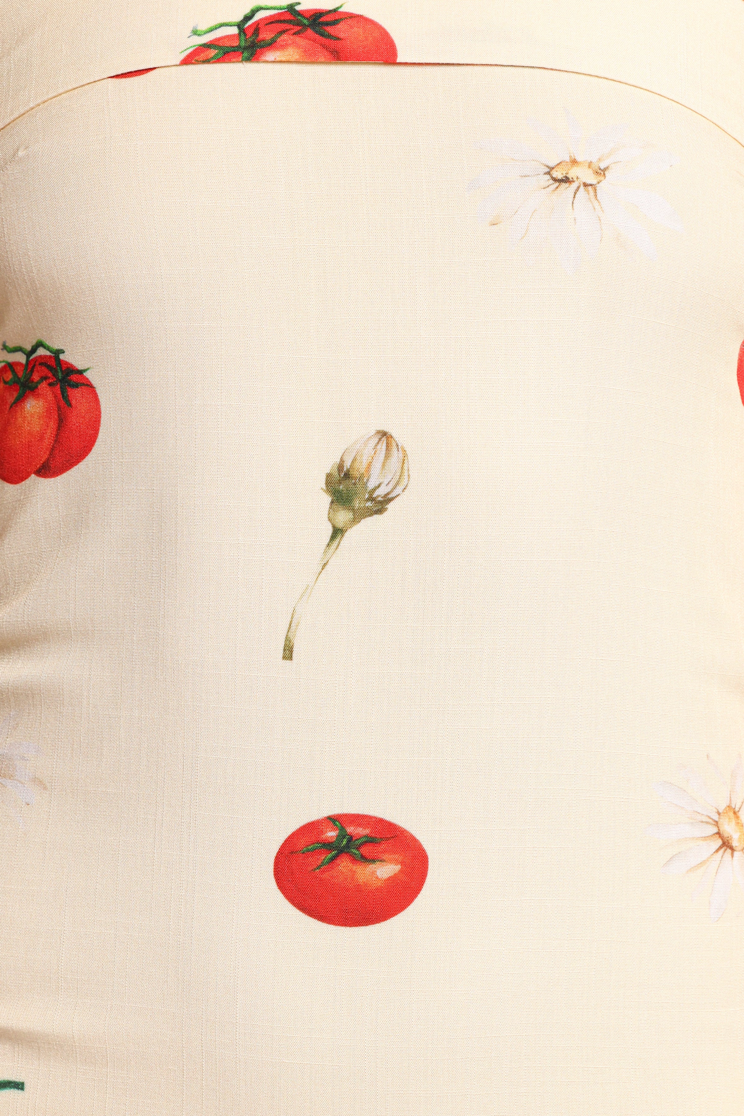 Petal and Pup USA DRESSES Adela Maxi Dress - Tomato Print