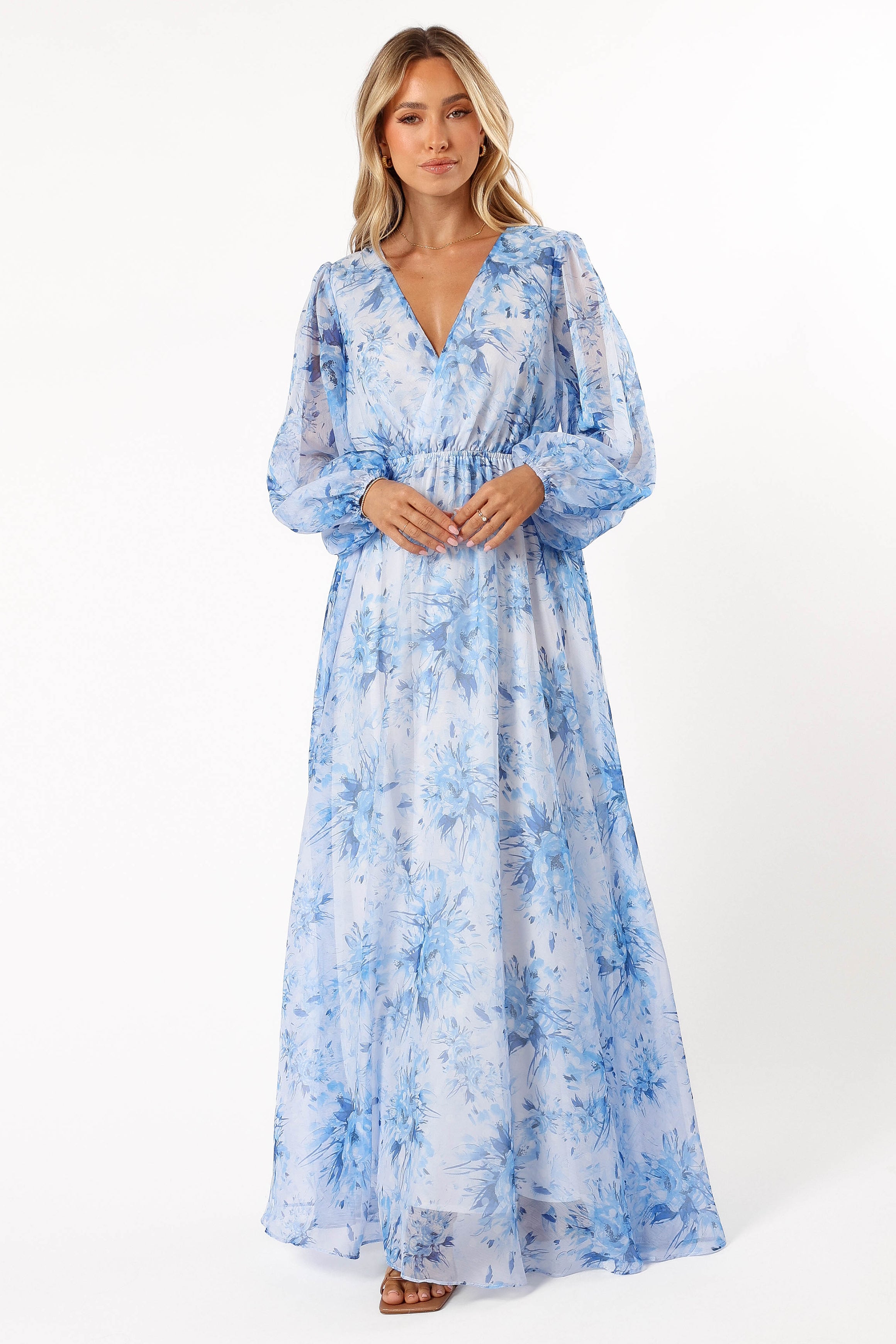 Petal and Pup USA DRESSES Anisa Maxi Dress - Blue Floral