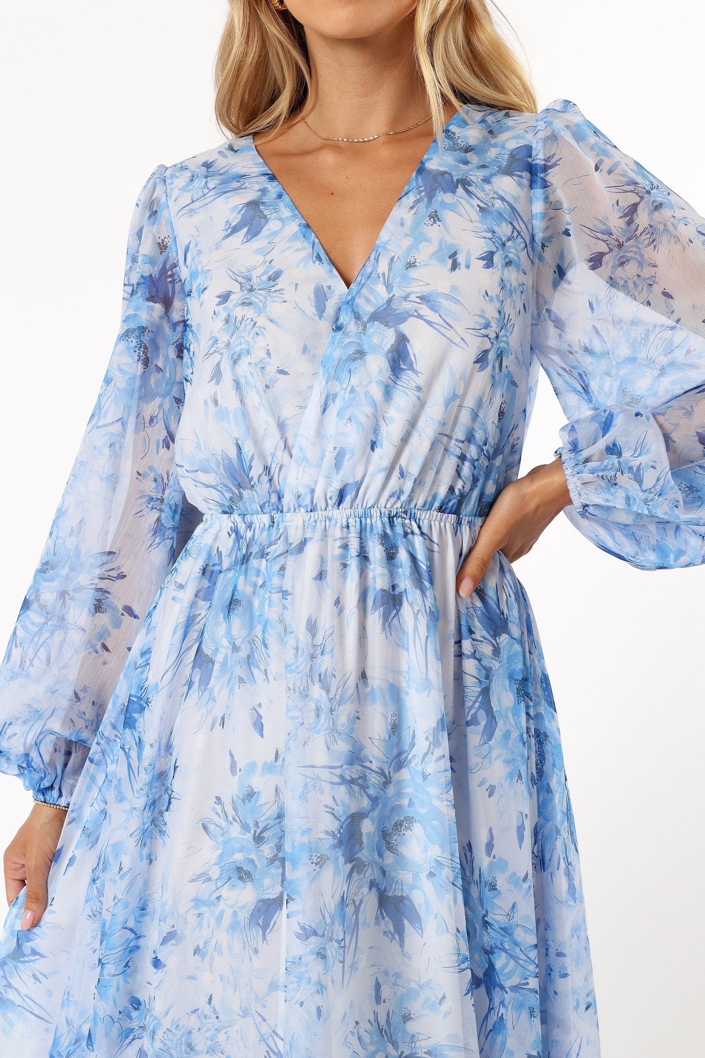 Petal and Pup USA DRESSES Anisa Maxi Dress - Blue Floral