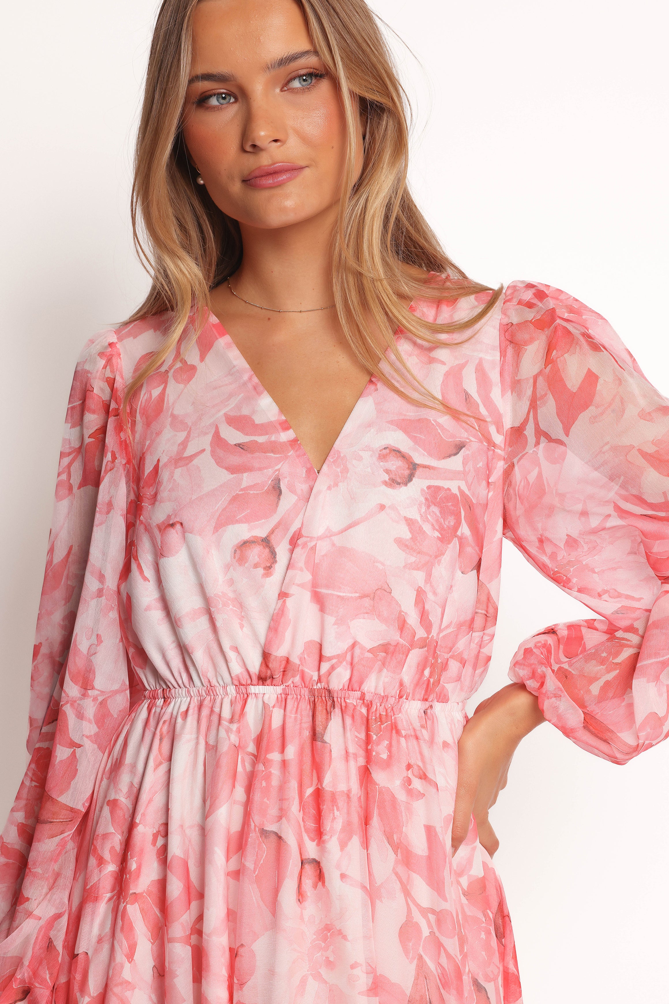 Petal and Pup USA DRESSES Anisa Maxi Dress - Pink Floral