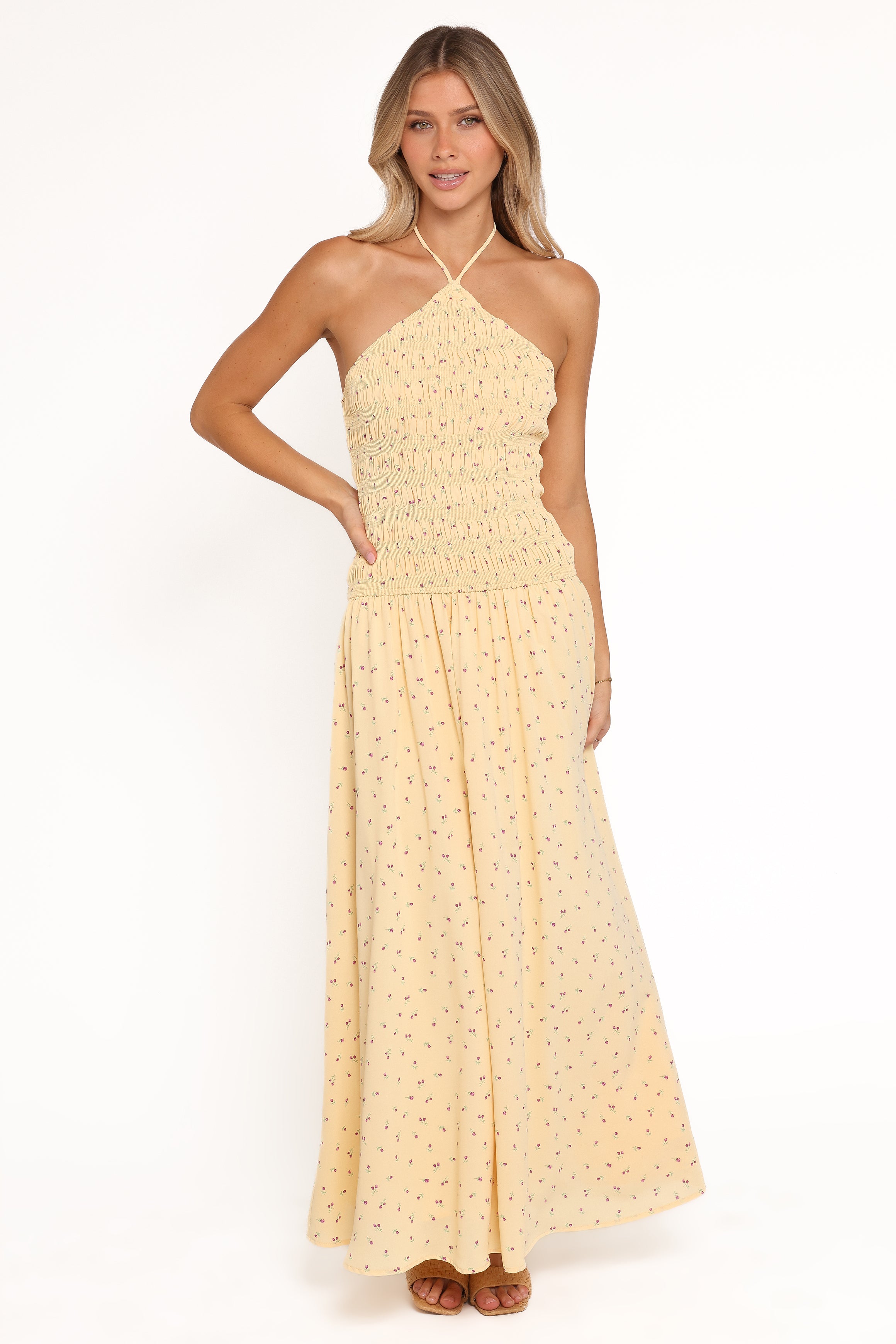 Petal and Pup USA DRESSES Aradia Halter Maxi Dress - Yellow Floral