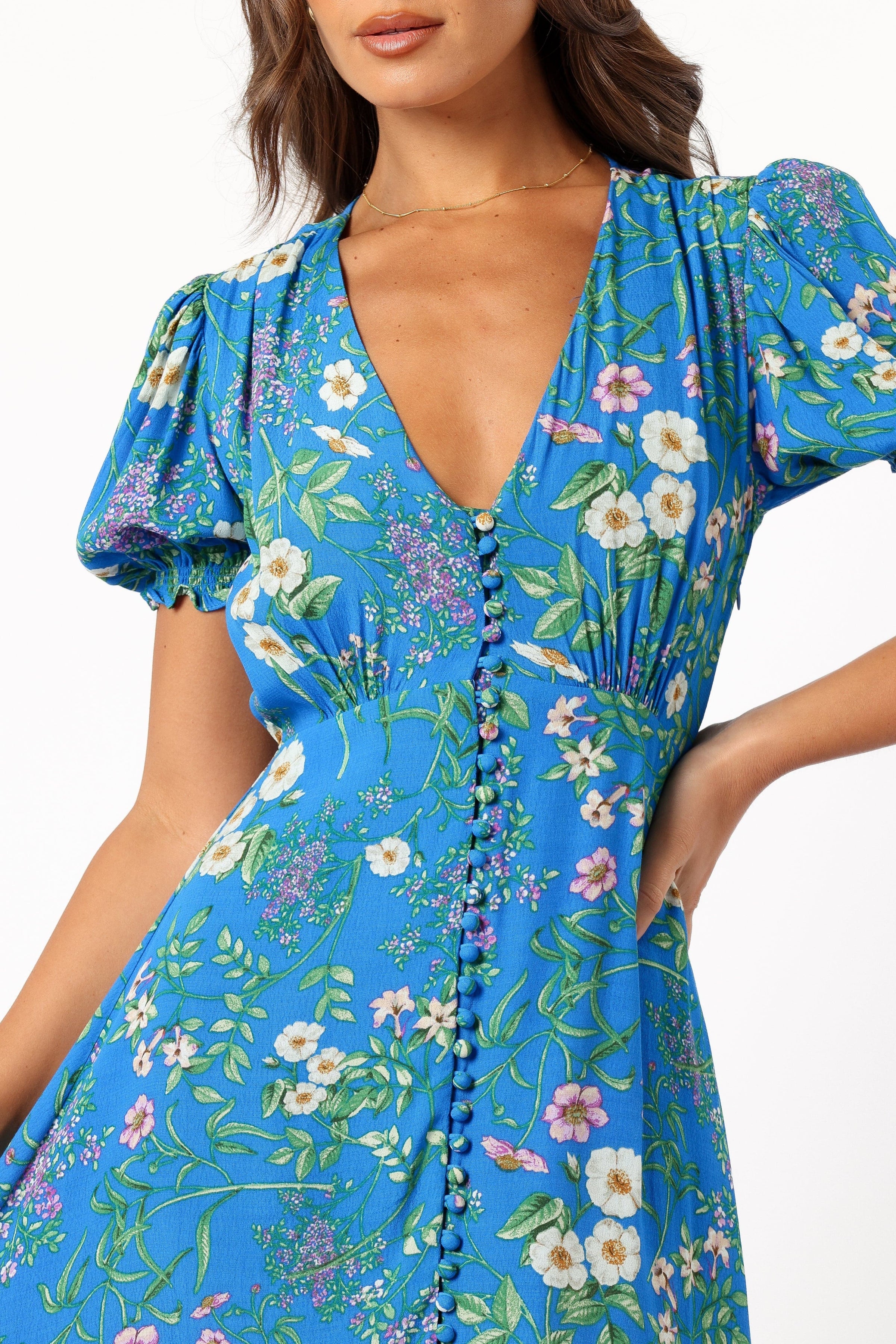 Petal and Pup USA DRESSES Brax Floral Dress - Blue Ivy