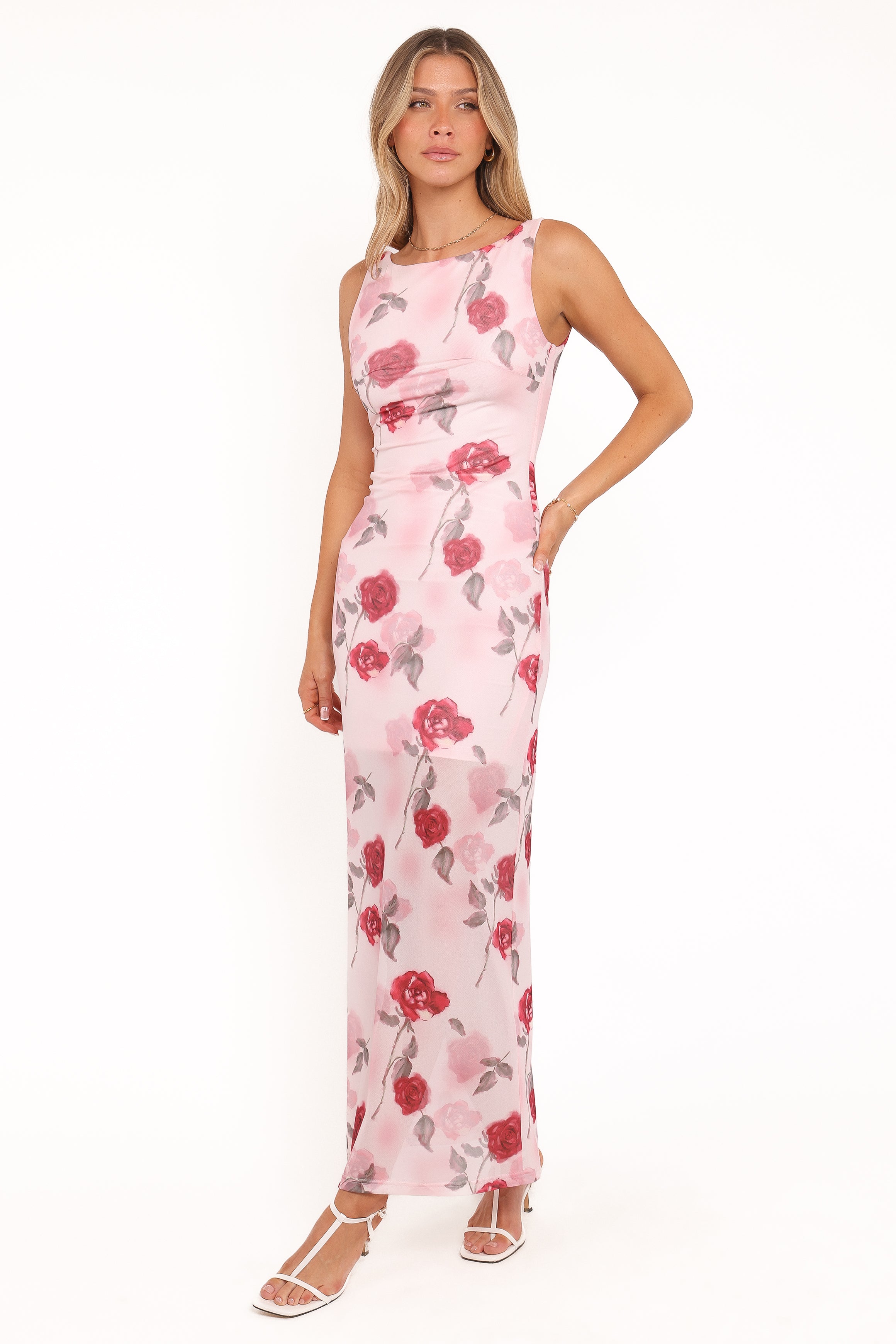 Petal and Pup USA DRESSES Brissa Maxi Dress - Pink Floral