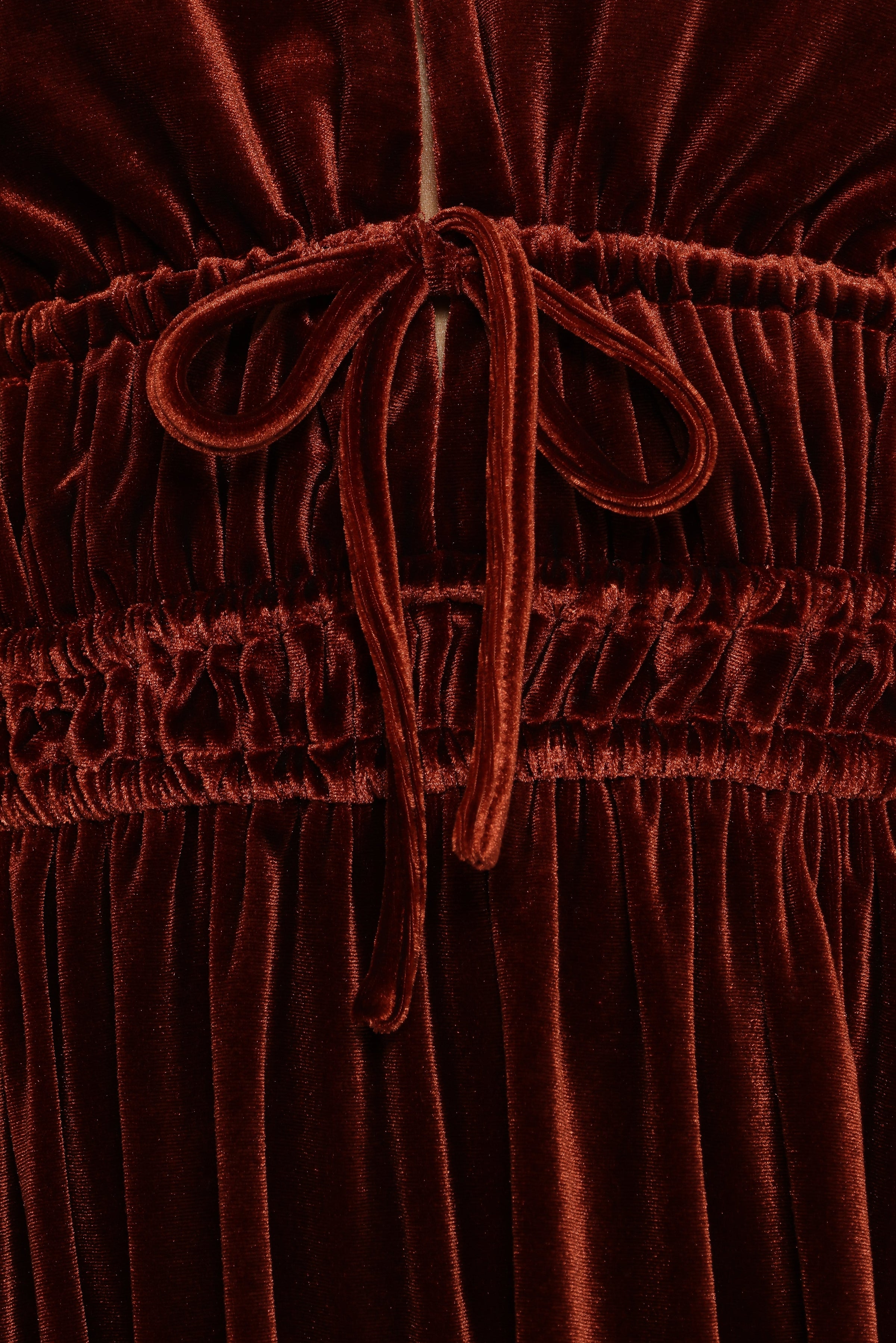 Petal and Pup USA DRESSES Cece Velvet Long Sleeve Maxi Dress - Rust