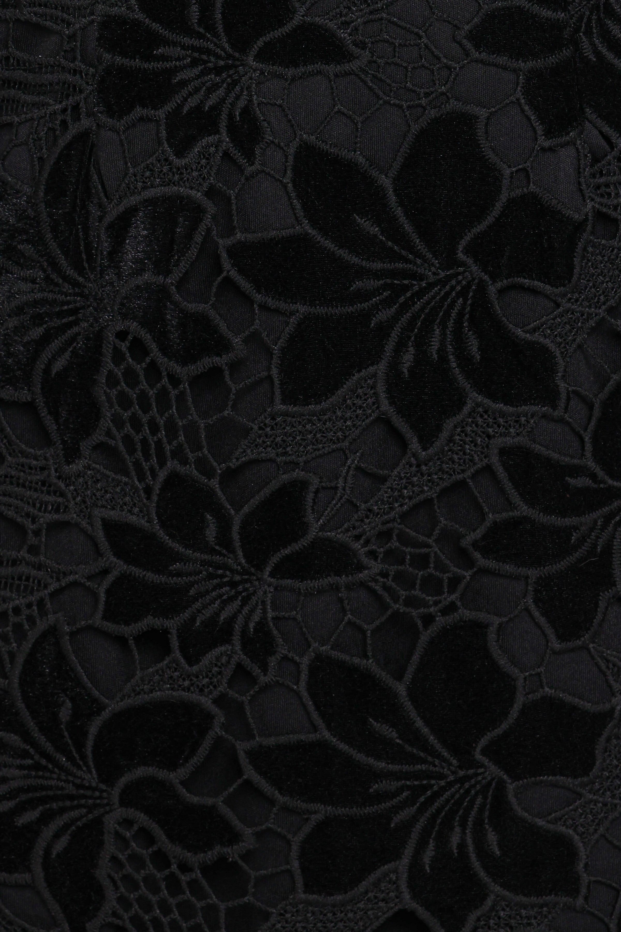 Petal and Pup USA DRESSES Cynthia Velvet Lace Mini Dress - Black