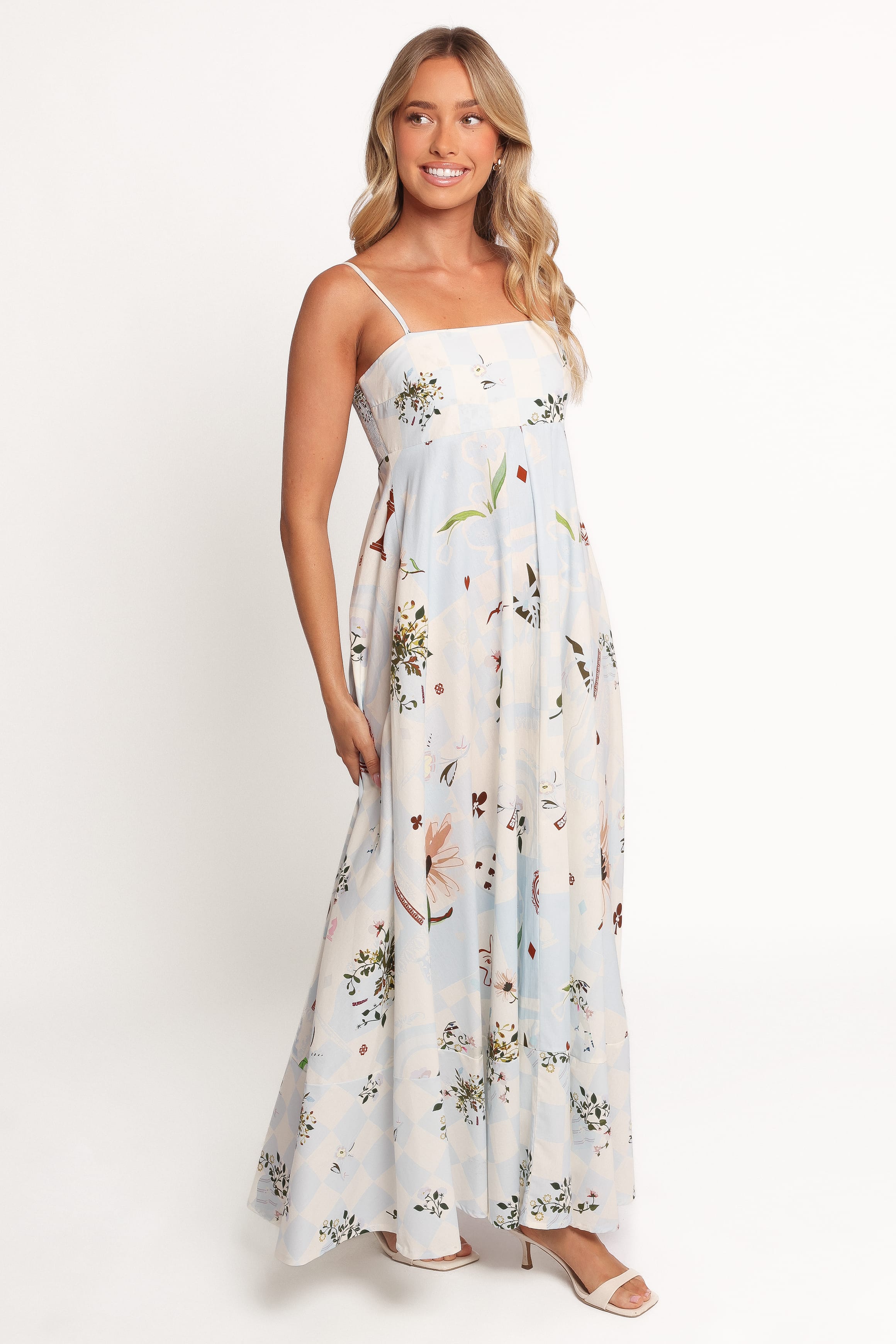 Petal and Pup USA DRESSES Emmeline Maxi Dress - Blue Floral