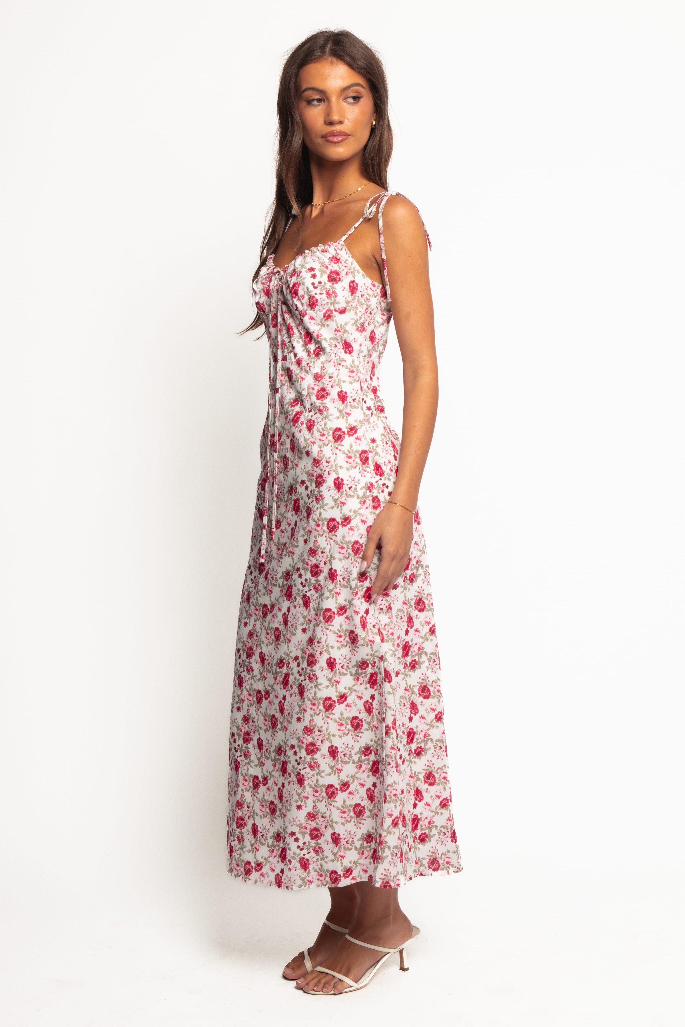 Petal and Pup USA DRESSES Imelda Midi Dress - Rose Print