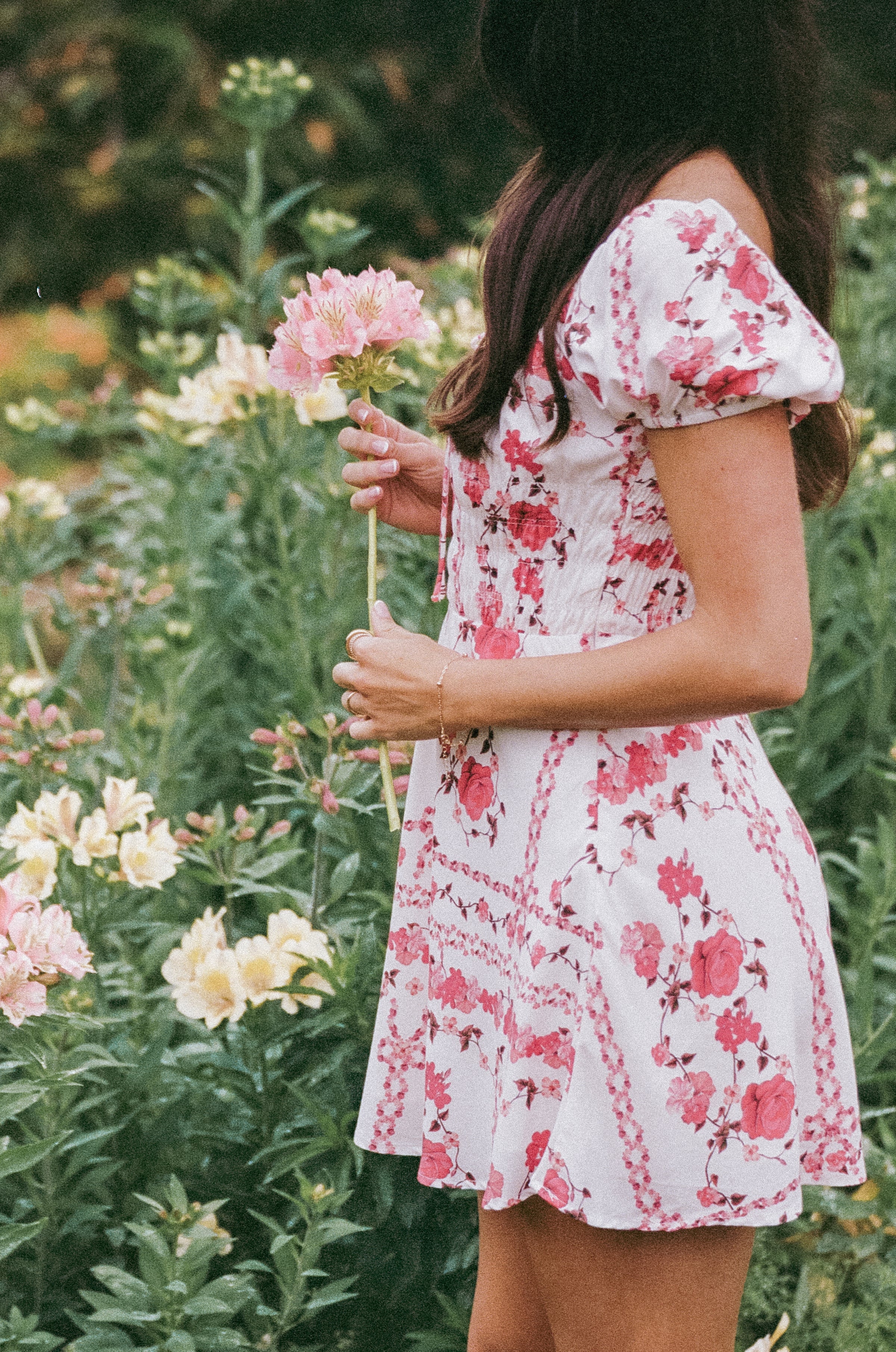 Petal and Pup USA DRESSES Jorja Mini Dress - Red Rose