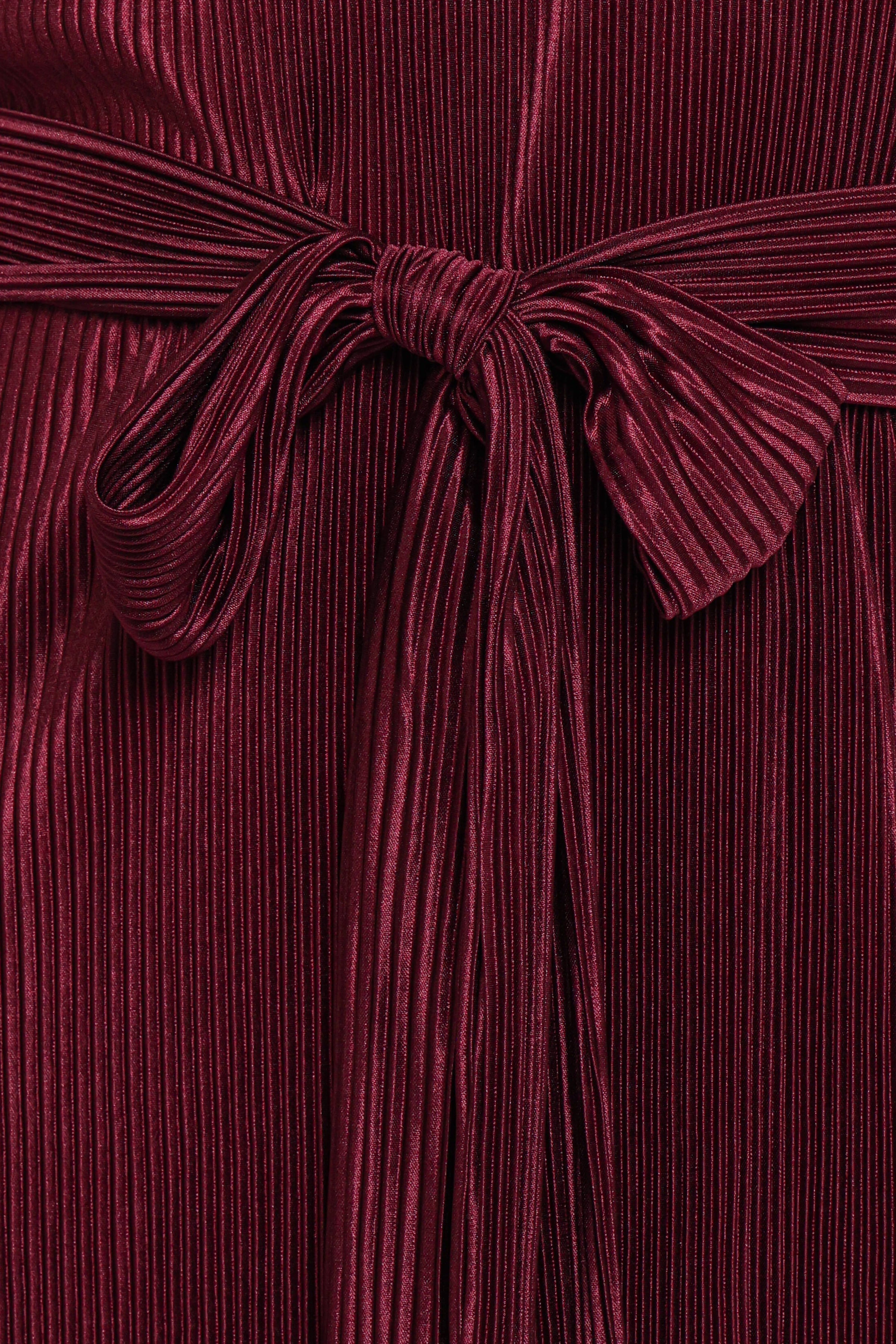 Petal and Pup USA DRESSES Joy Plisse Mini Dress - Burgundy