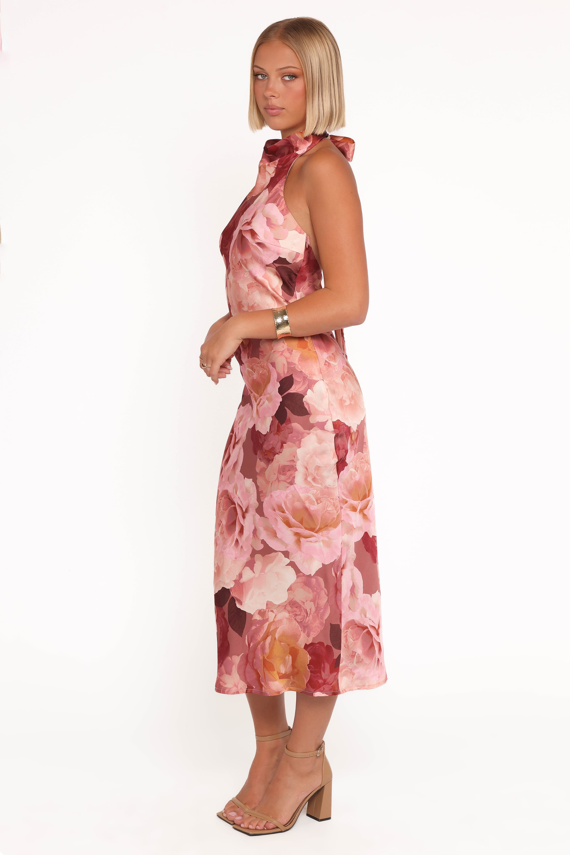 Petal and Pup USA DRESSES Lovett Maxi Halter Dress - Botanical Garden