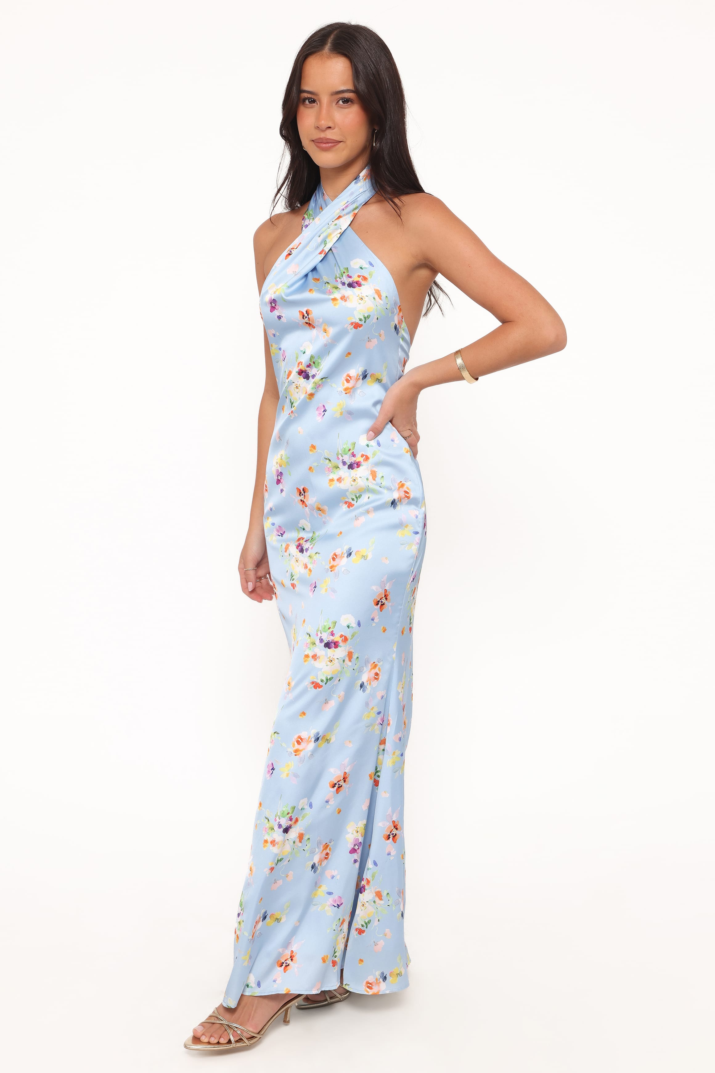 Petal and Pup USA DRESSES Mila Halterneck Maxi Dress - Cornflower Blue Floral