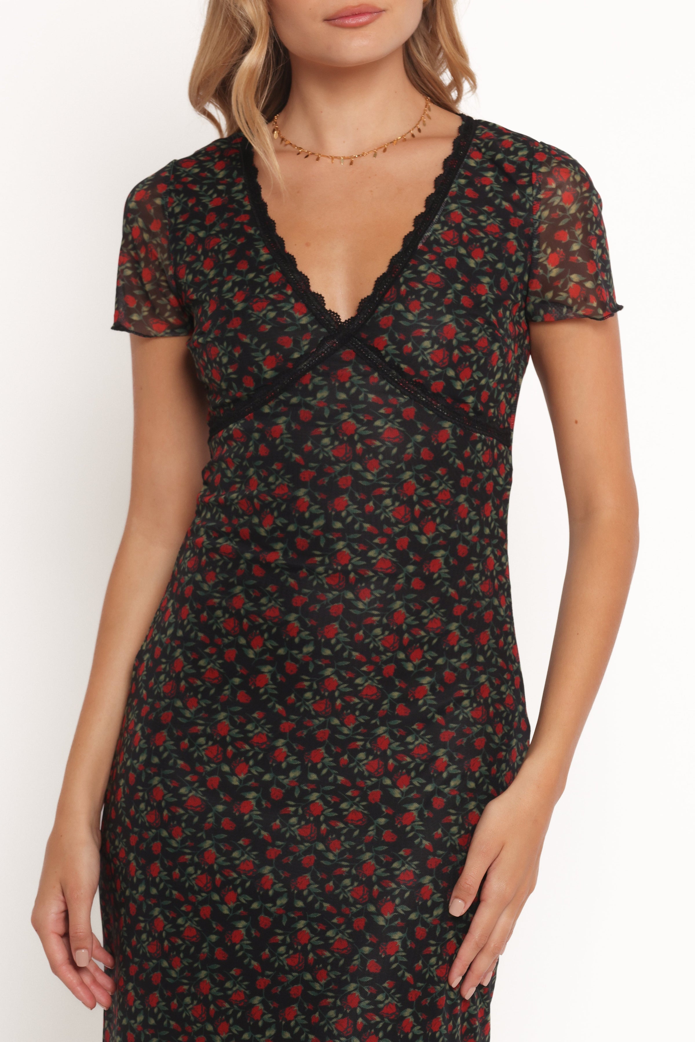 Petal and Pup USA DRESSES Neve Maxi Dress - Rose Print