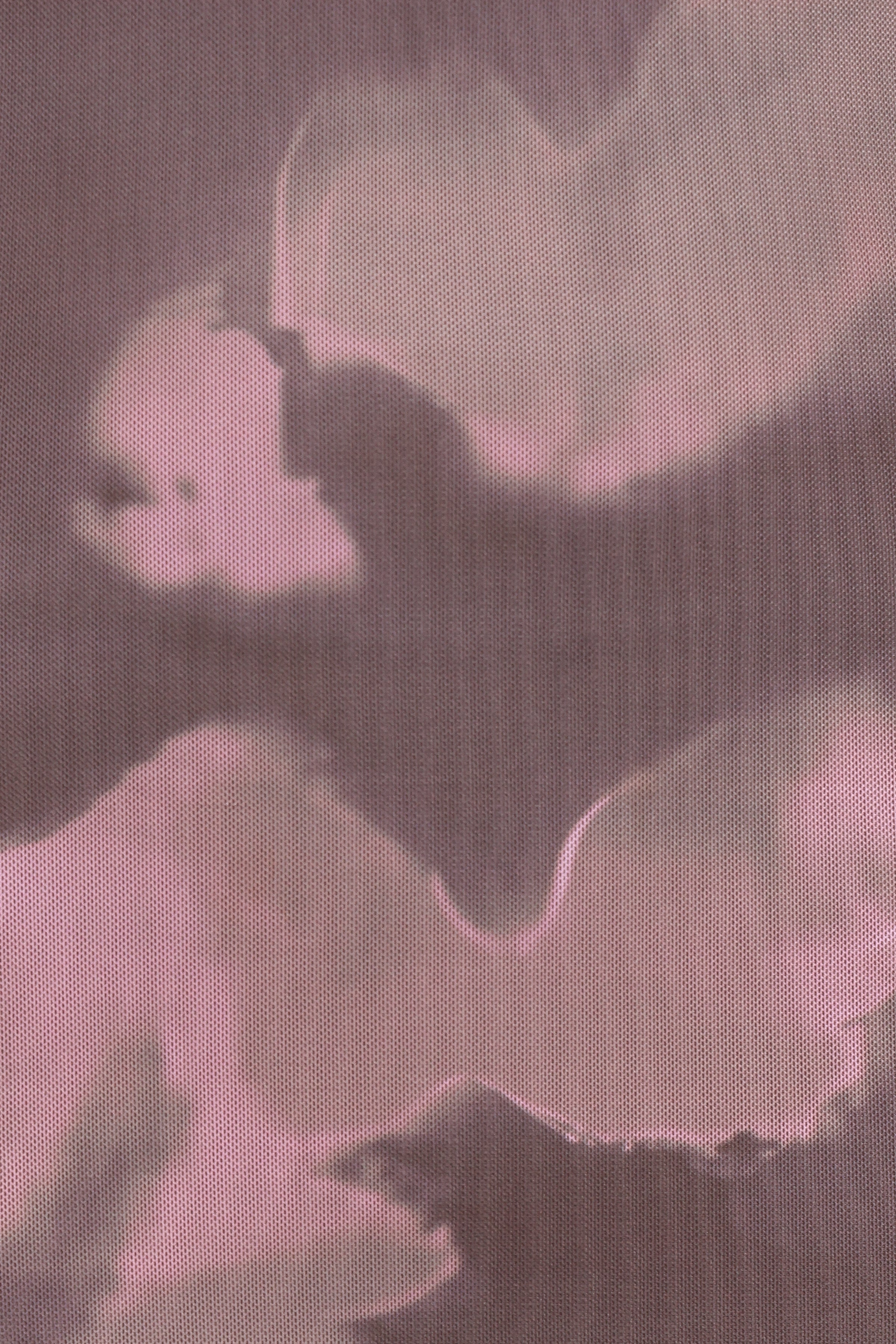 Petal and Pup USA DRESSES Pandora Long Sleeve Maxi Dress - Pink/Brown Print