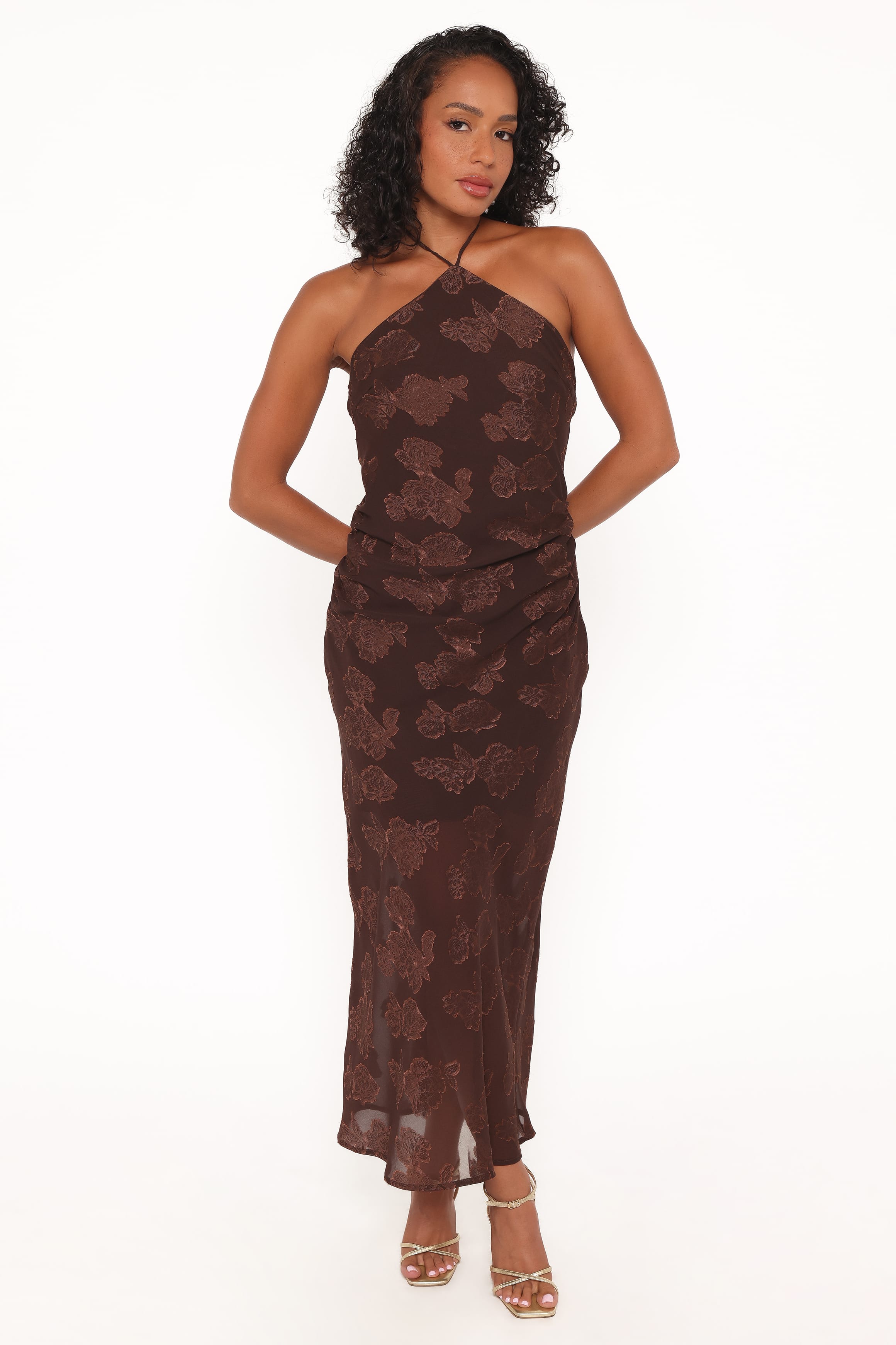Petal and Pup USA DRESSES Remy Halterneck Maxi Dress - Brown