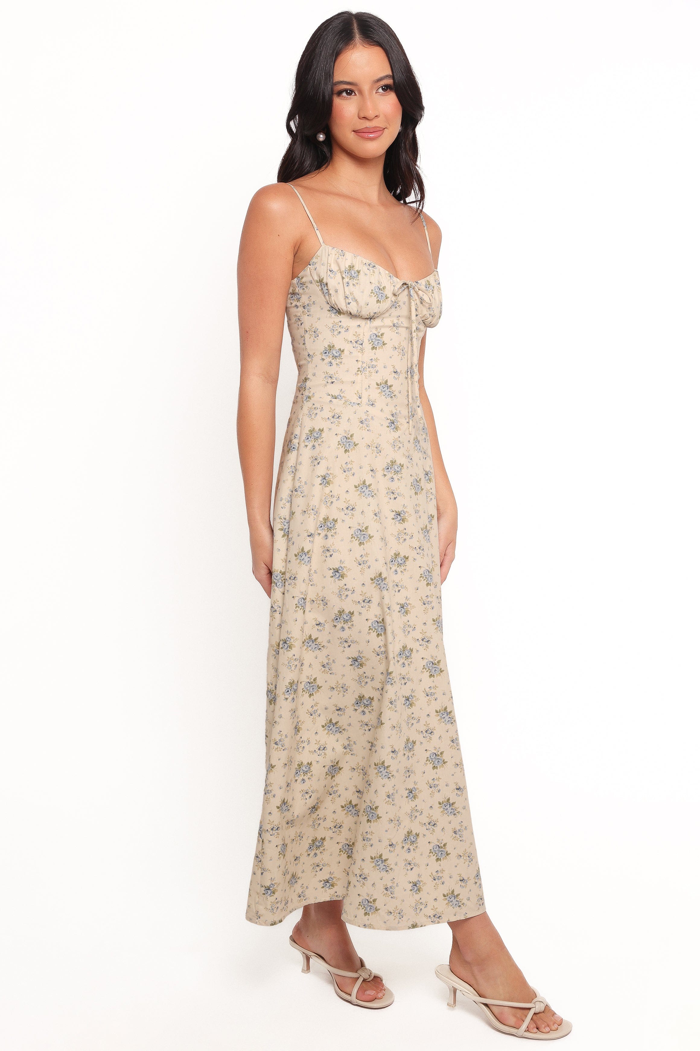 Petal and Pup USA DRESSES Tiarna Maxi Dress - Blue Floral