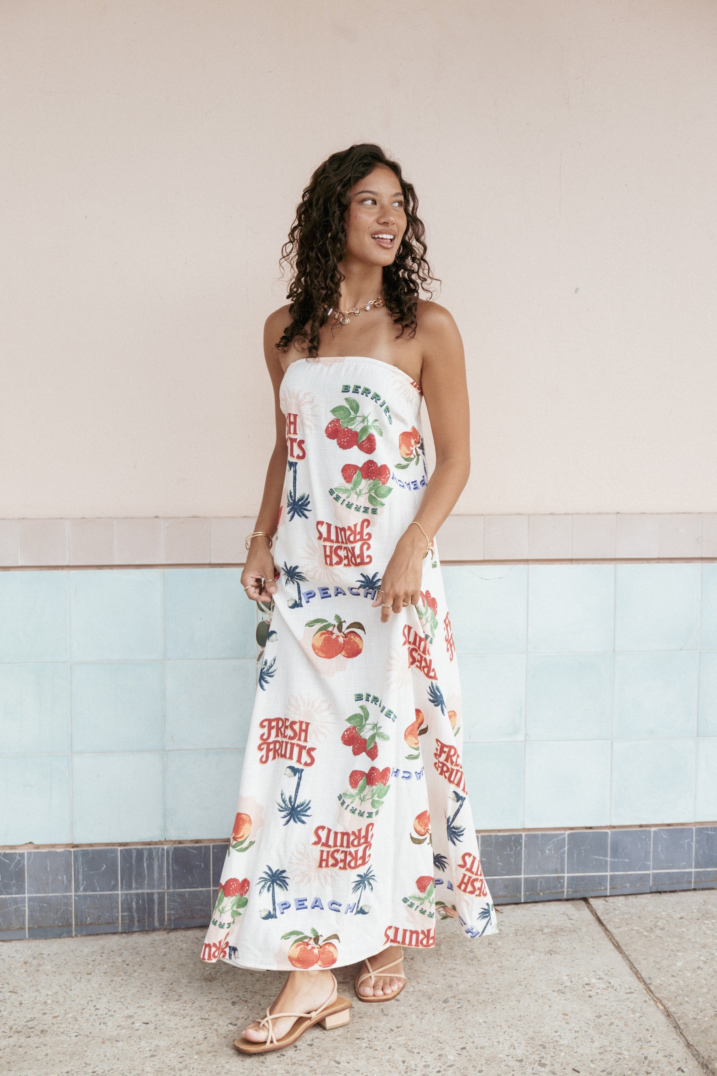 Petal and Pup USA DRESSES Valencia Maxi Dress - Tutti Fruiti (Hold for Amazon)