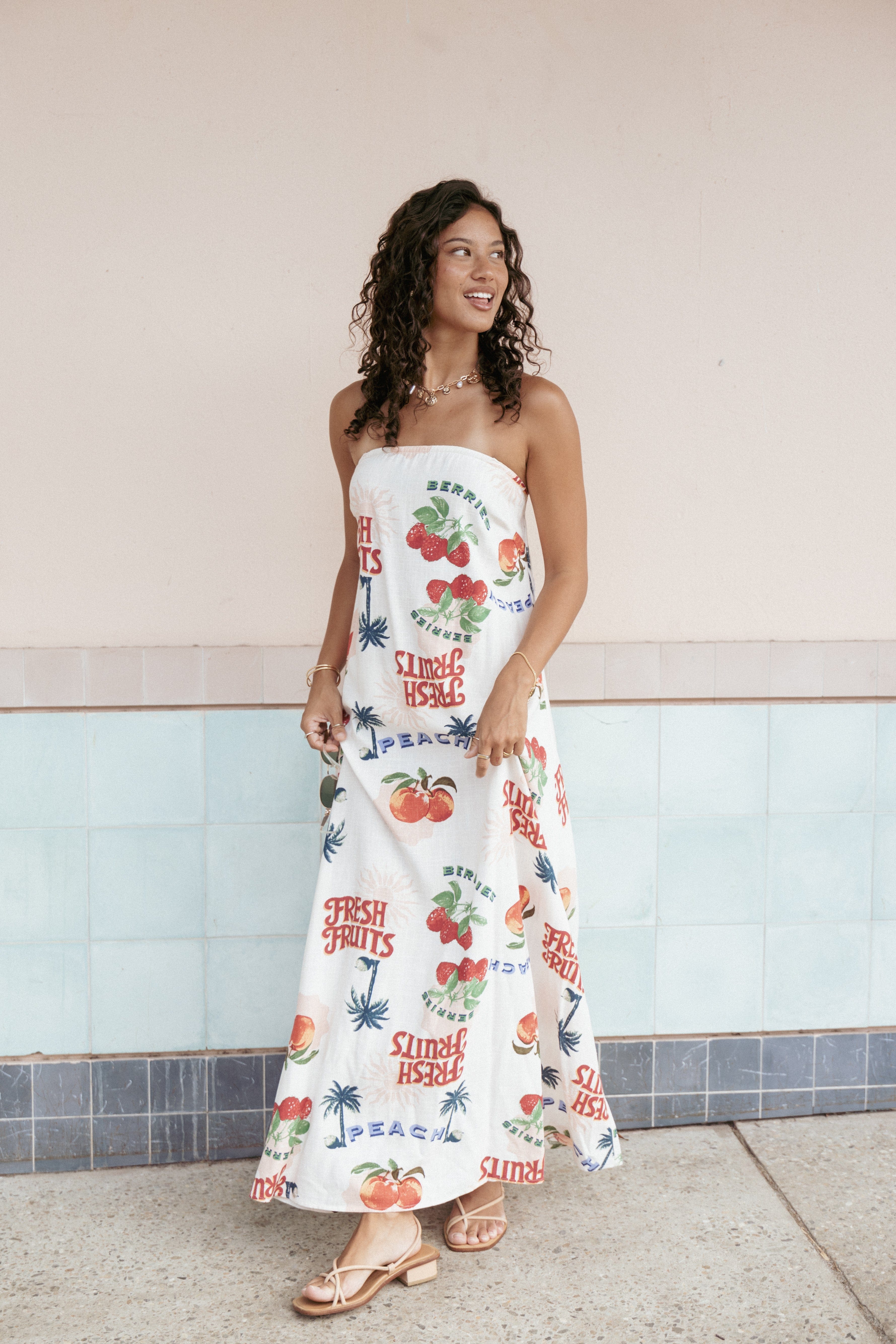 Petal and Pup USA DRESSES Valencia Maxi Dress - Tutti Fruiti (Hold for Amazon)