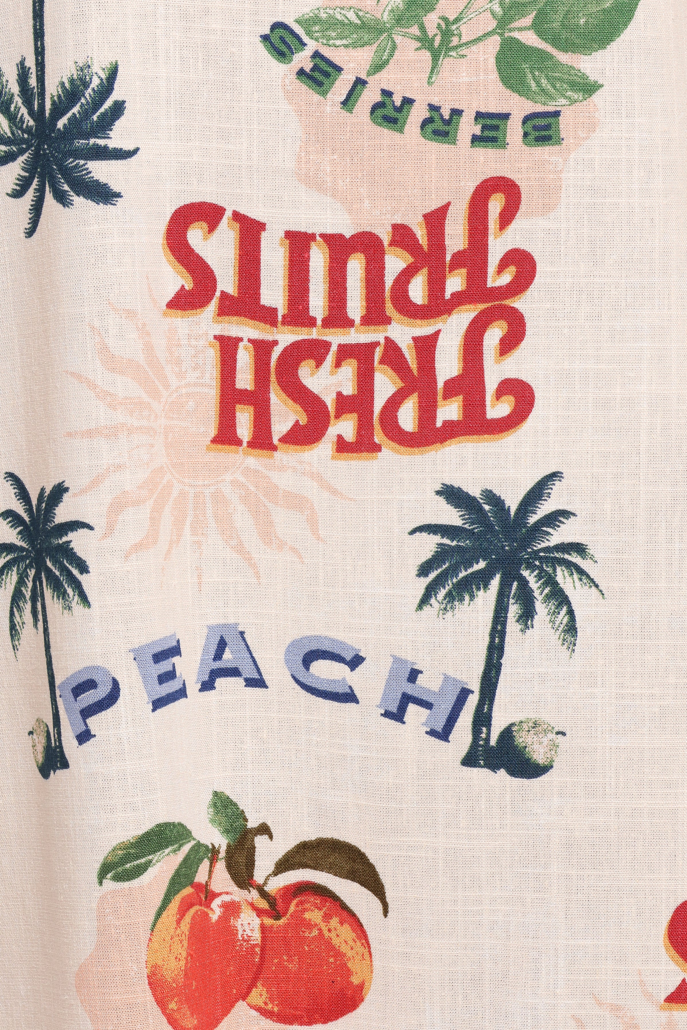 Petal and Pup USA DRESSES Valencia Maxi Dress - Tutti Fruiti (Hold for Amazon)