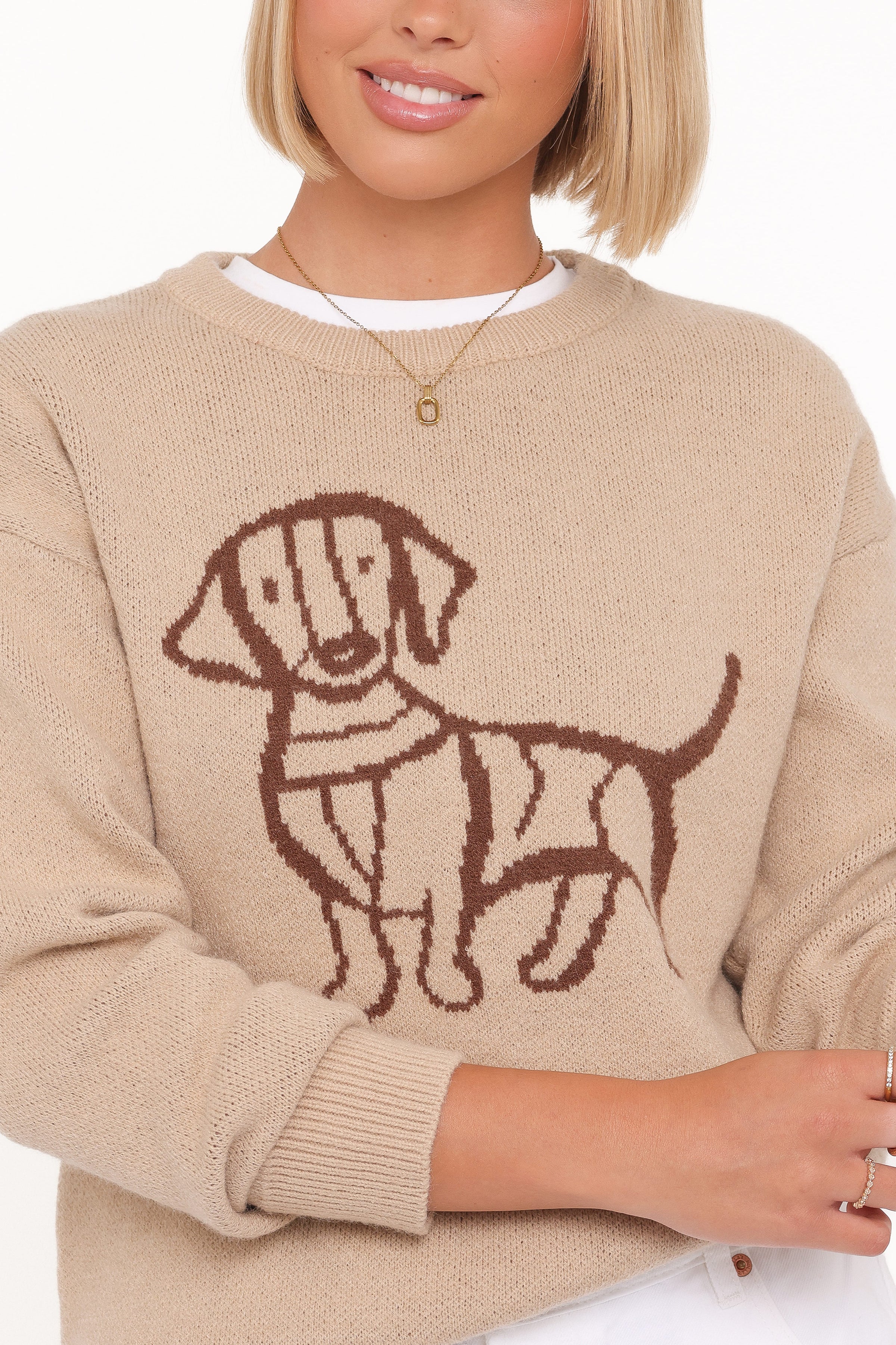 Petal and Pup USA KNITWEAR Amber Dachshund Sweater - Beige