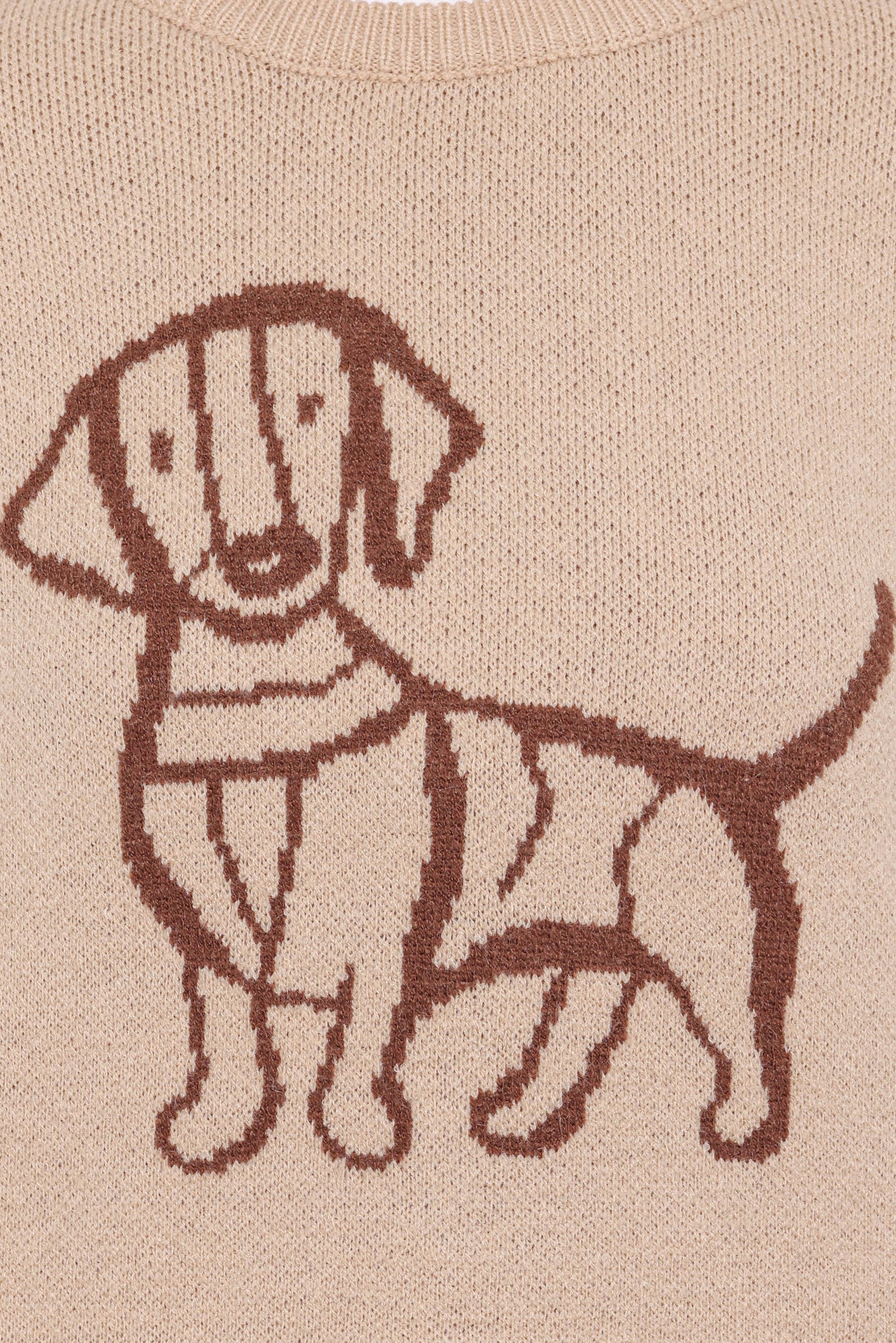 Petal and Pup USA KNITWEAR Amber Dachshund Sweater - Beige