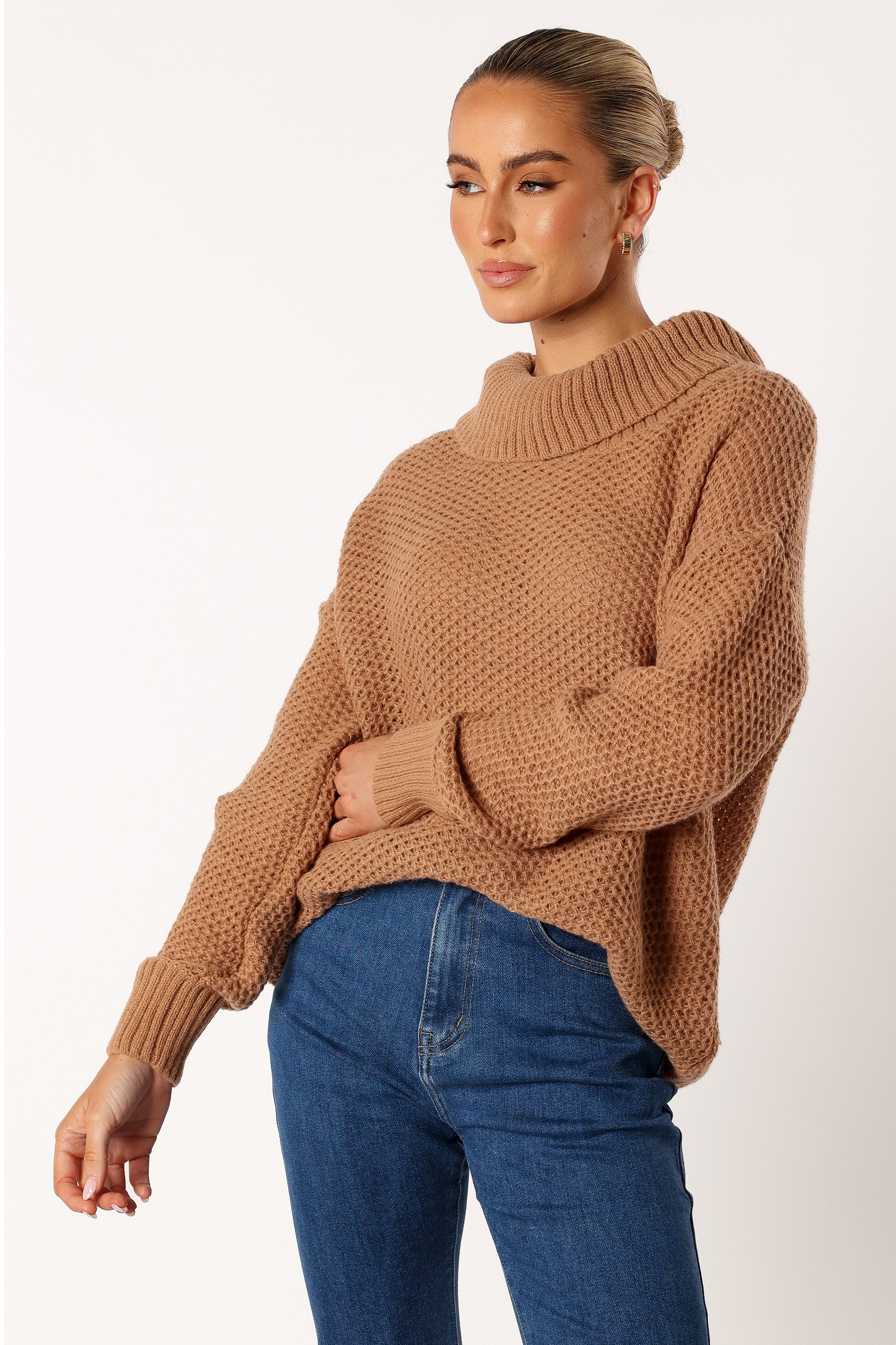 Petal and Pup USA KNITWEAR Rayne Turtleneck Knit Sweater - Beige
