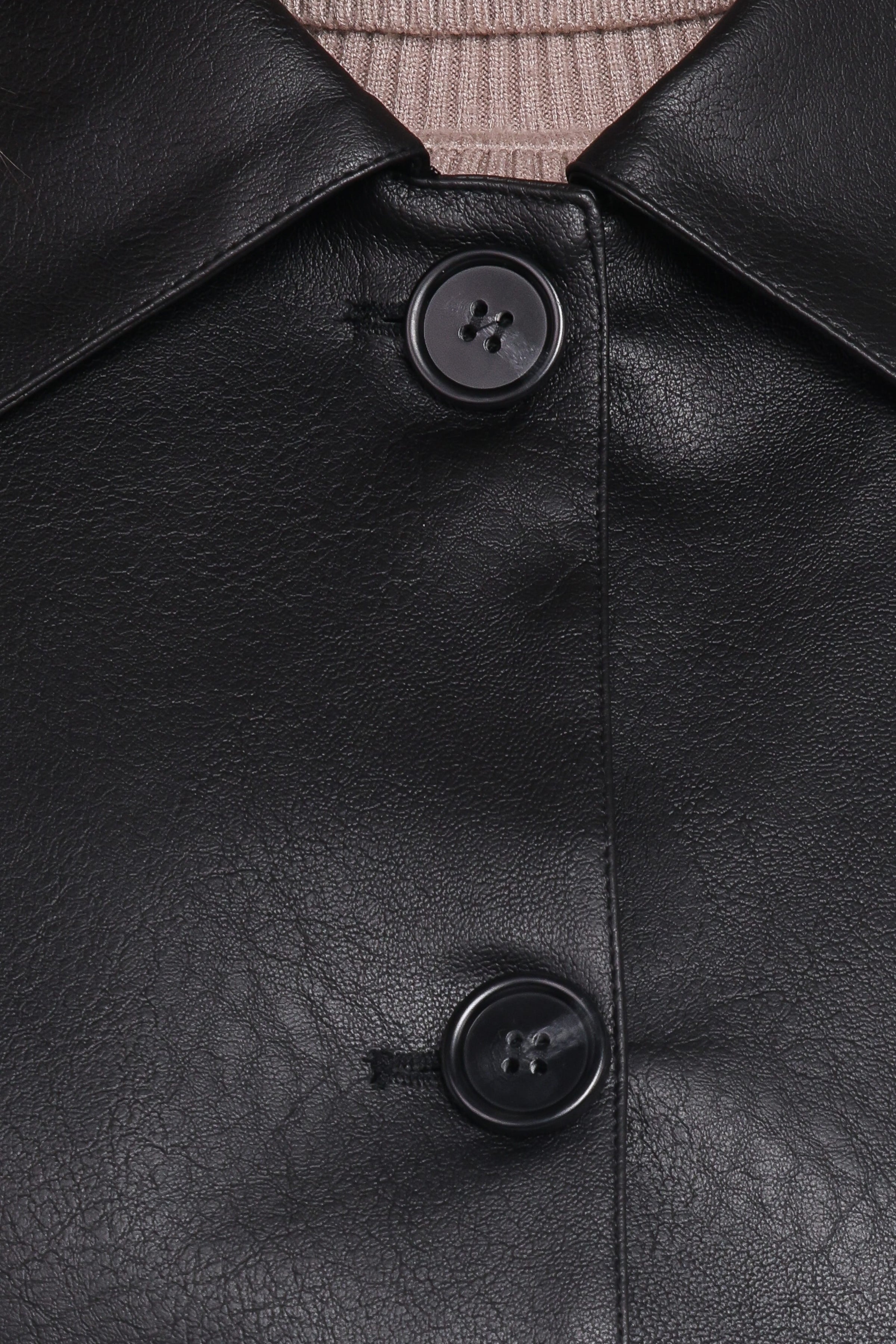 Petal and Pup USA OUTERWEAR Hope Crop Faux Leather Jacket - Black