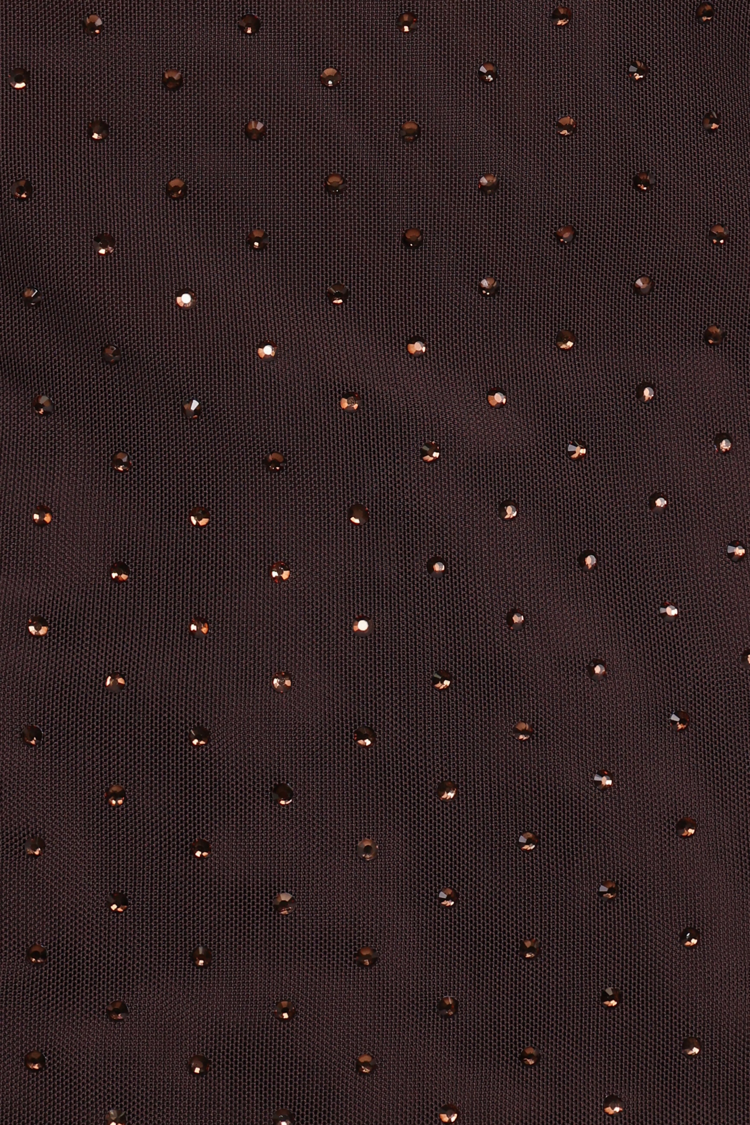 Petal and Pup USA TOPS Alejandra Embellished Mesh Top - Dark Chocolate