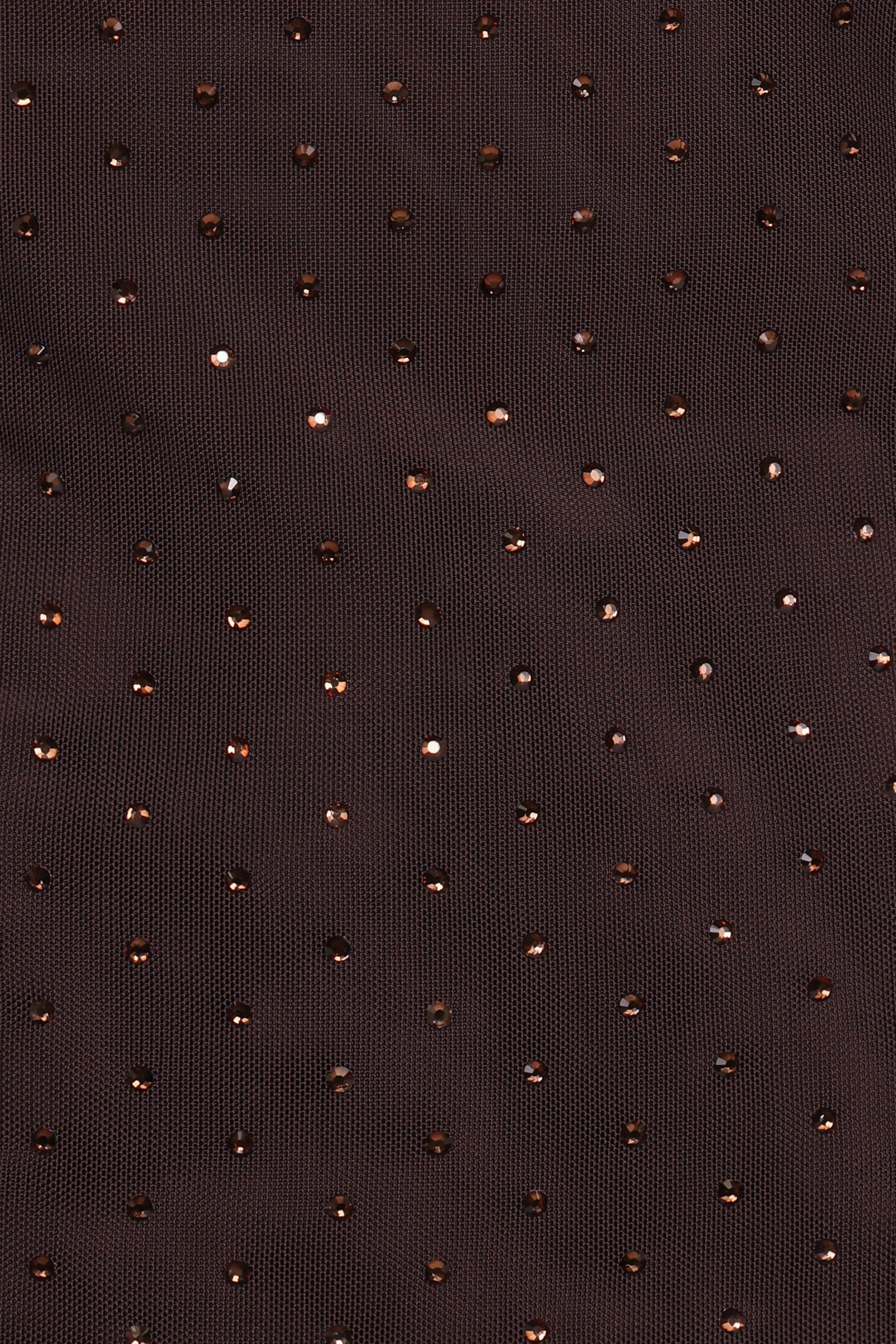 Petal and Pup USA TOPS Alejandra Embellished Mesh Top - Dark Chocolate