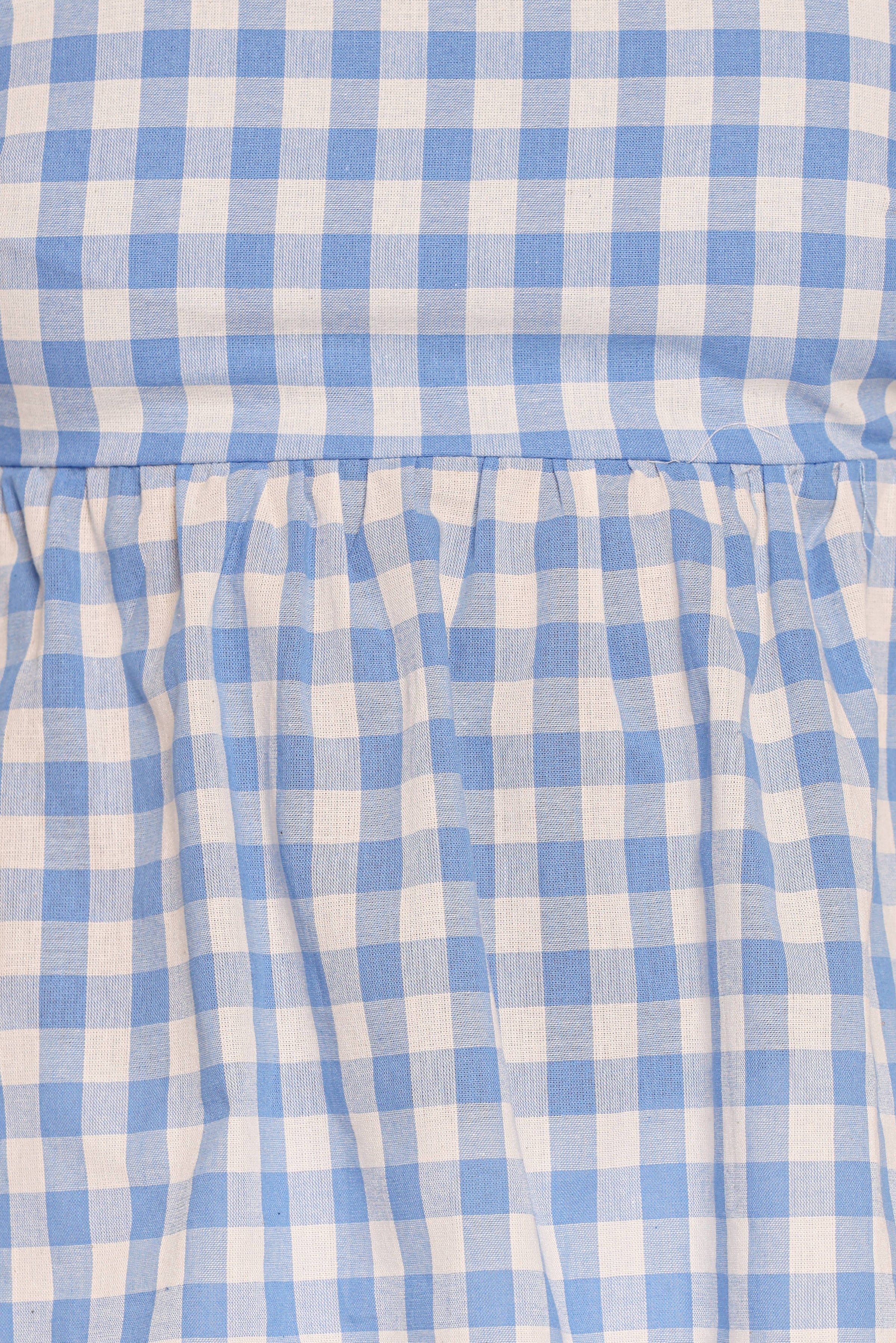 Petal and Pup USA TOPS Chatham Top - Blue Gingham