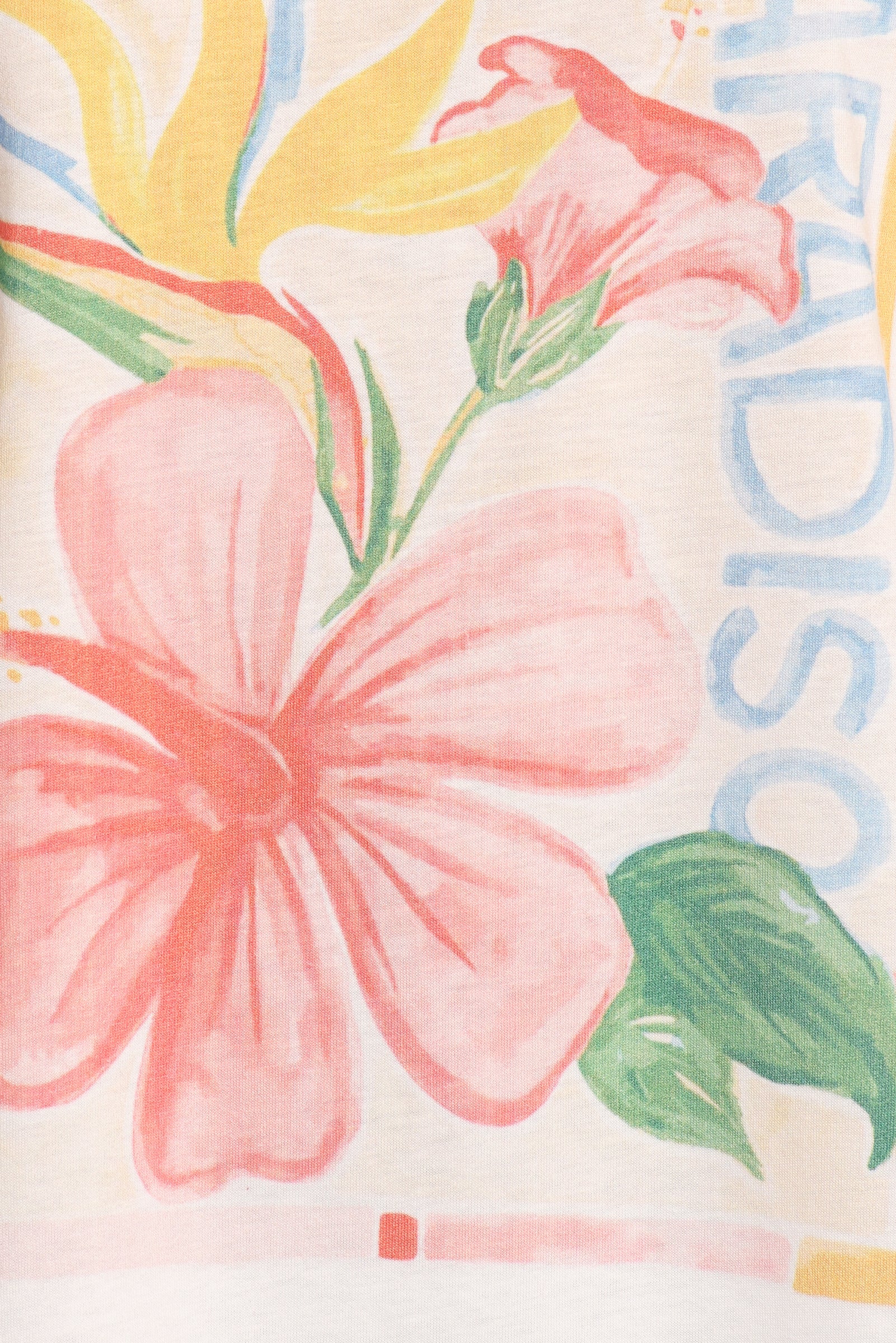 Petal and Pup USA TOPS Mia Graphic Tee - Paradiso