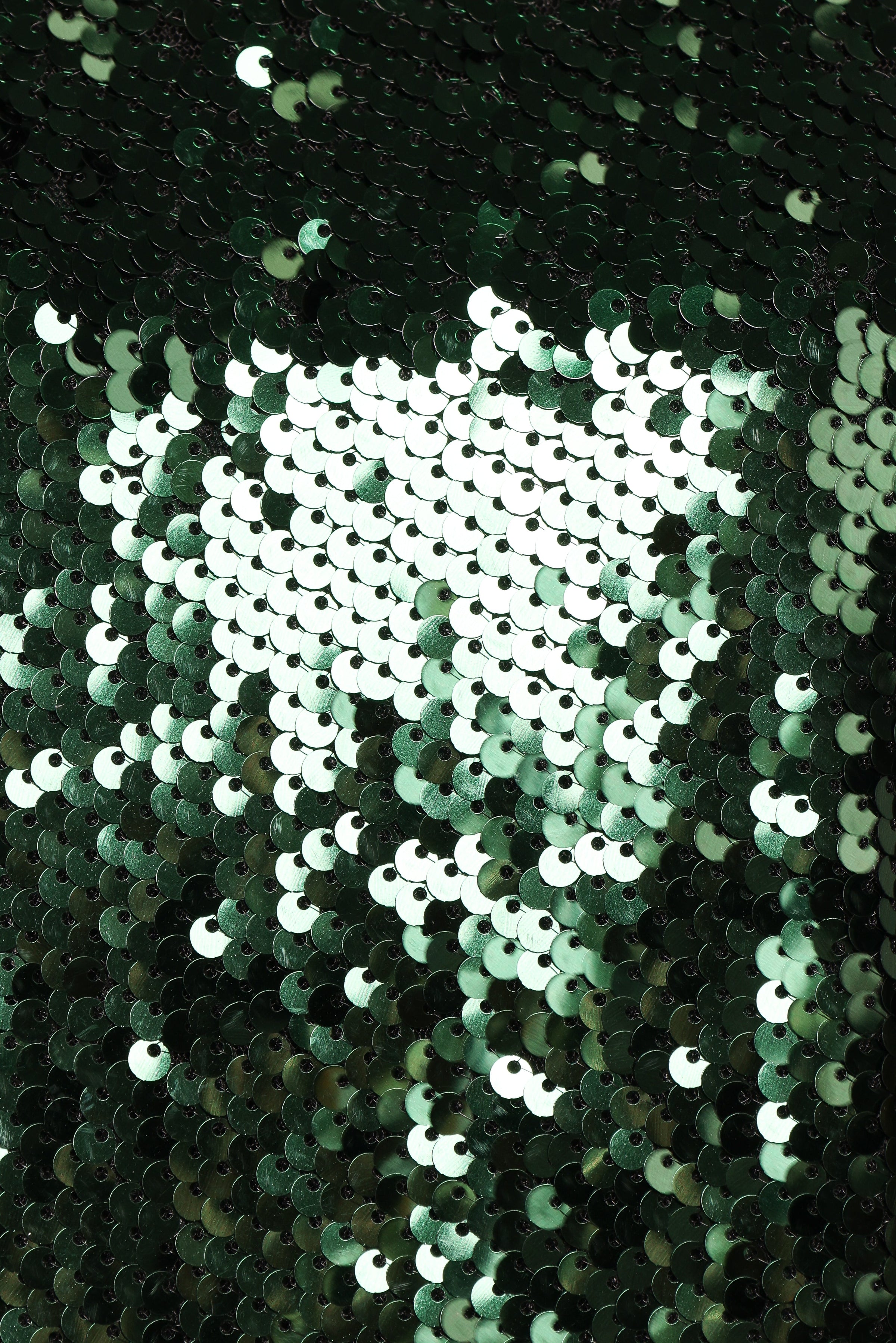 Petal and Pup USA TOPS Miah Sequin Top - Emerald