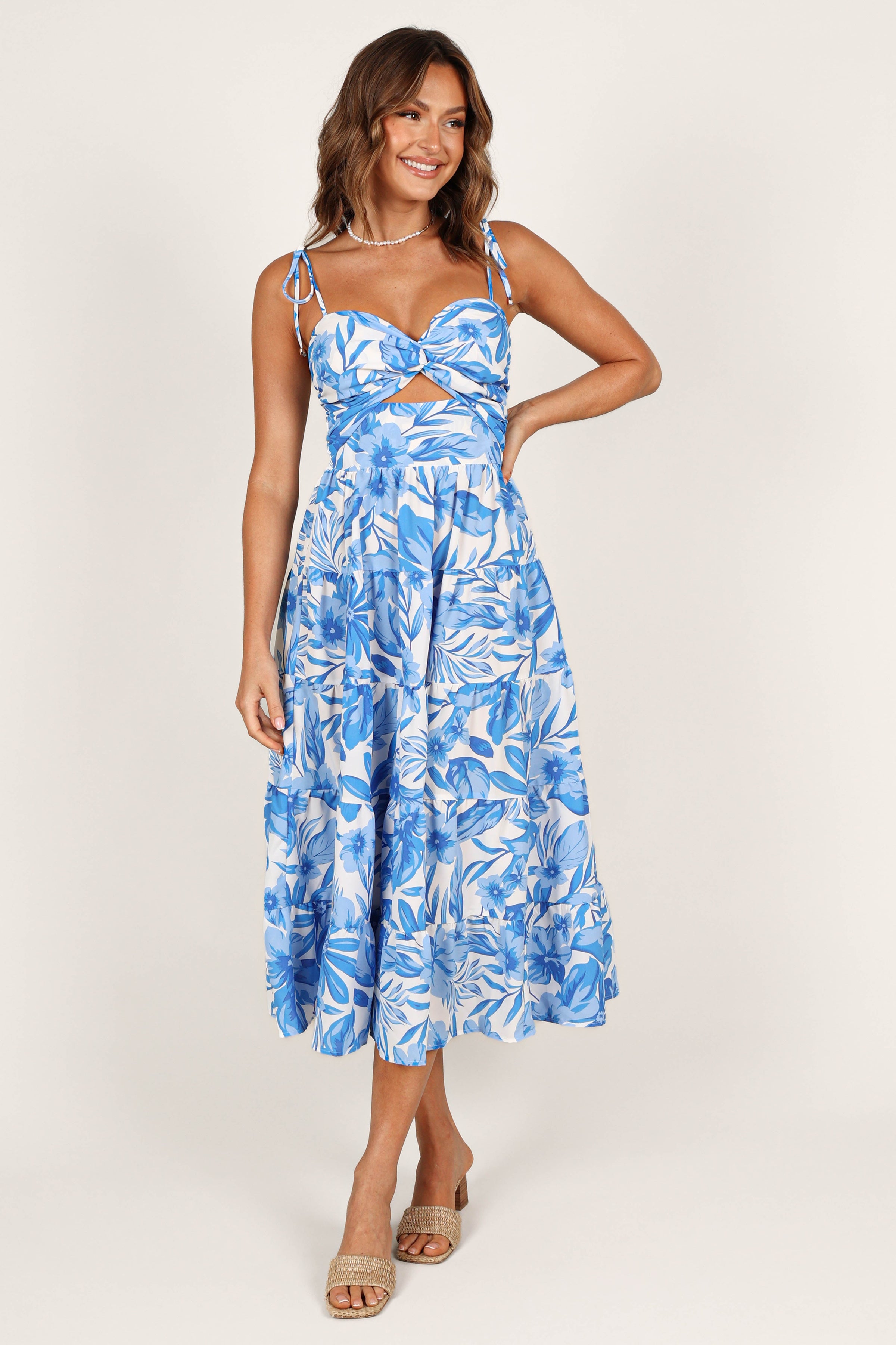 Petal and Pup USA DRESSES Rose Midi Dress - Blue/White
