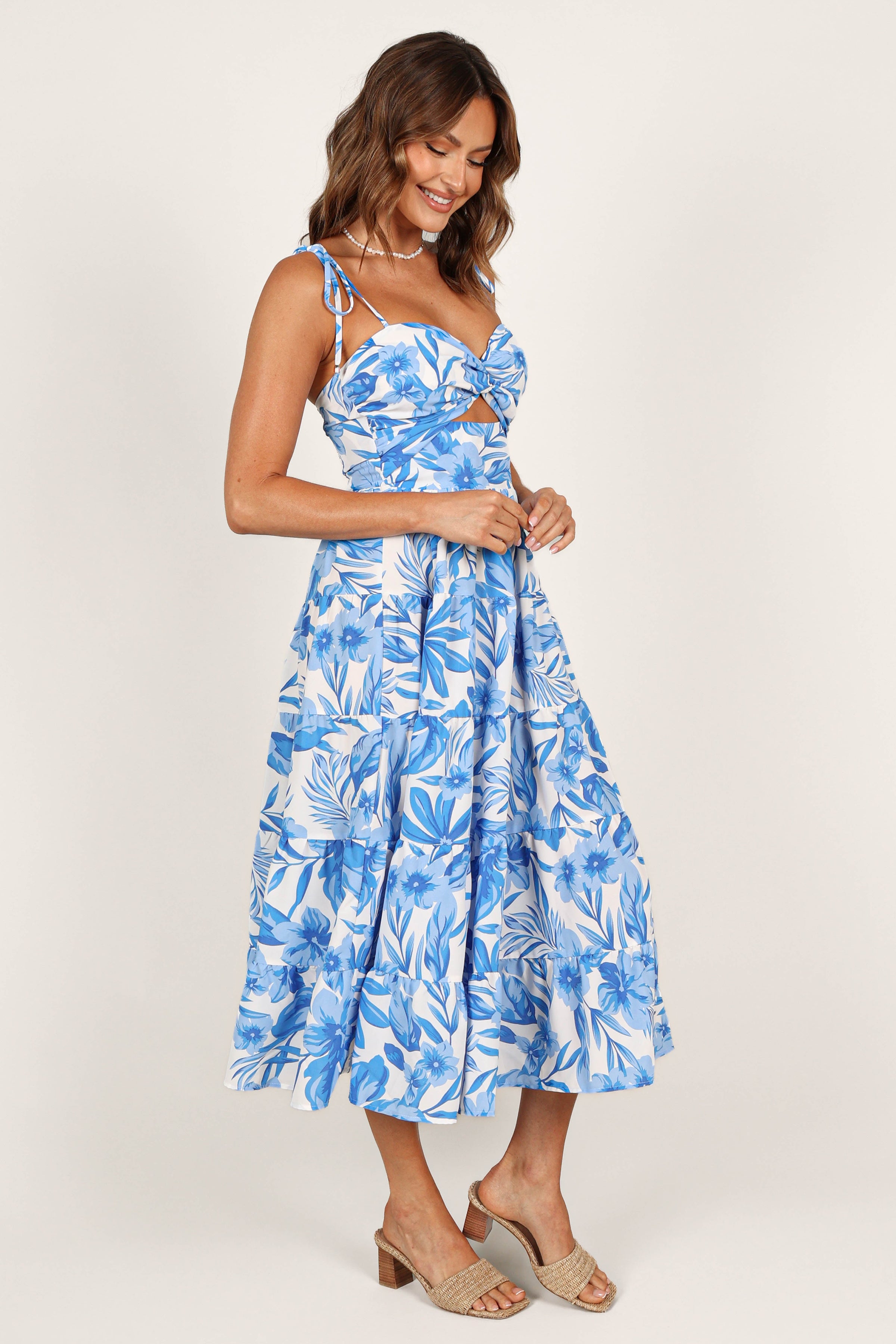 Petal and Pup USA DRESSES Rose Midi Dress - Blue/White