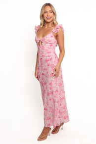 Jean Maxi Dress - Pink Floral