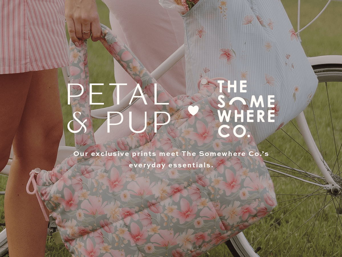 Official image for Petal and Pup and The Somewhere Co. collaboration