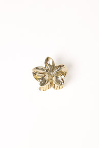 Tiarne Hair Clip - Gold