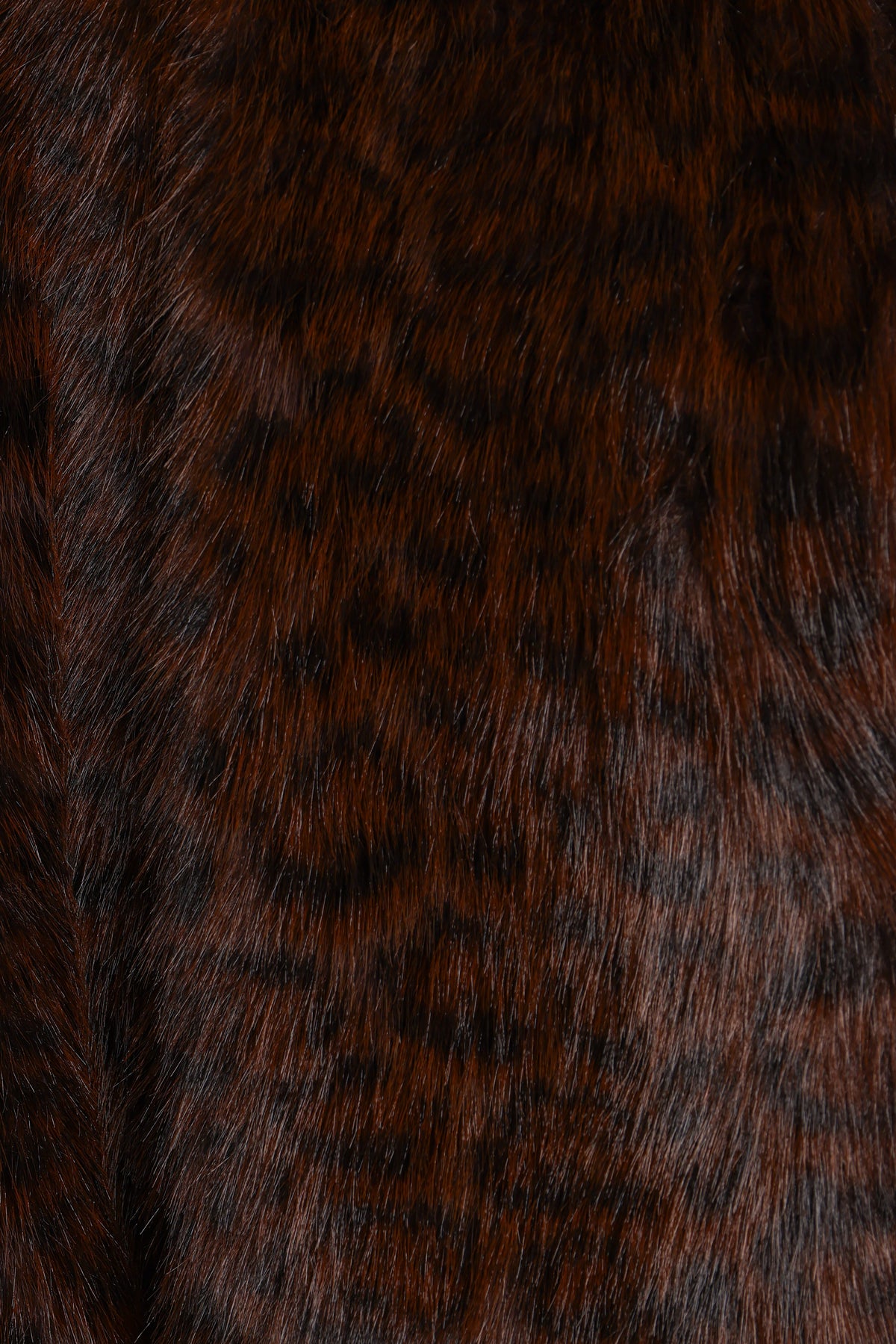 OUTERWEAR Minnie Jacket - Brown Cheetah