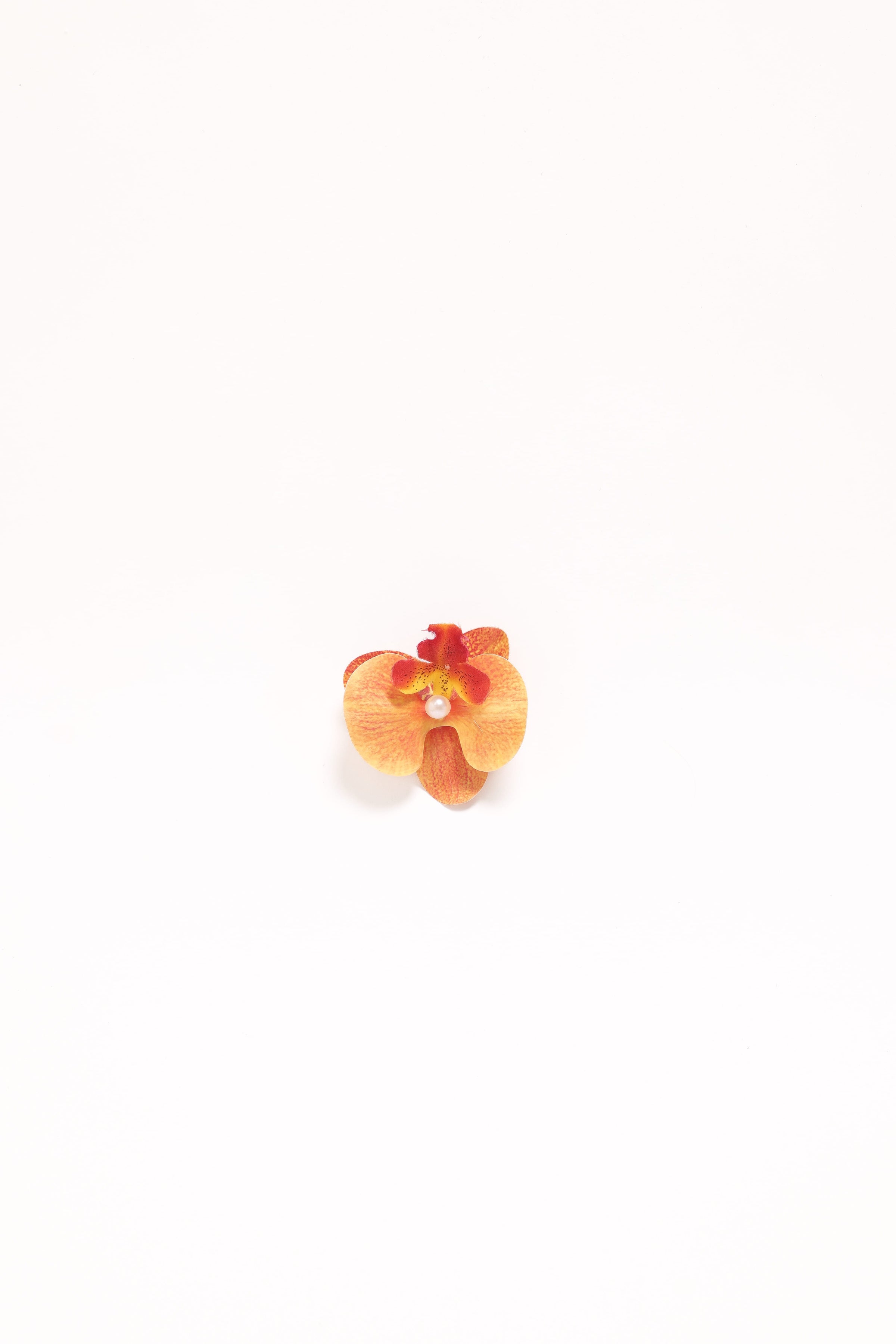 Petal and Pup USA ACCESSORIES Leila Orchid Hair Clip - Orange One Size