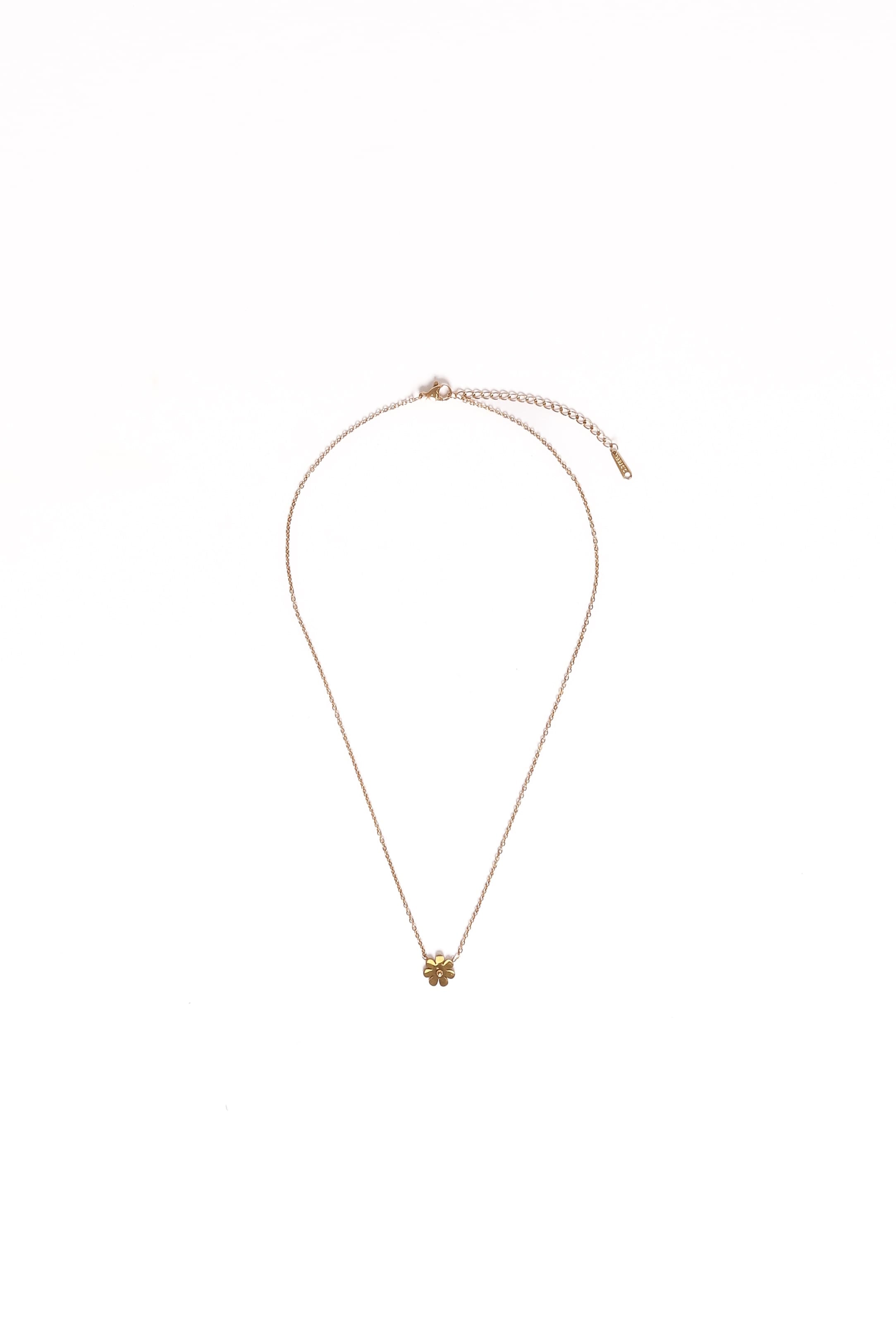 Petal and Pup USA ACCESSORIES Skye Necklace - Gold One Size