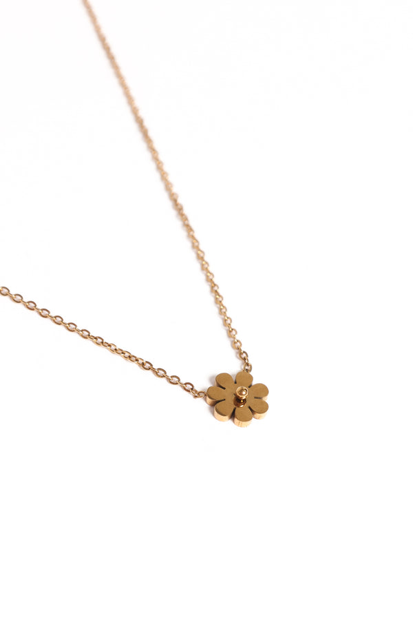 Petal and Pup USA ACCESSORIES Skye Necklace - Gold One Size
