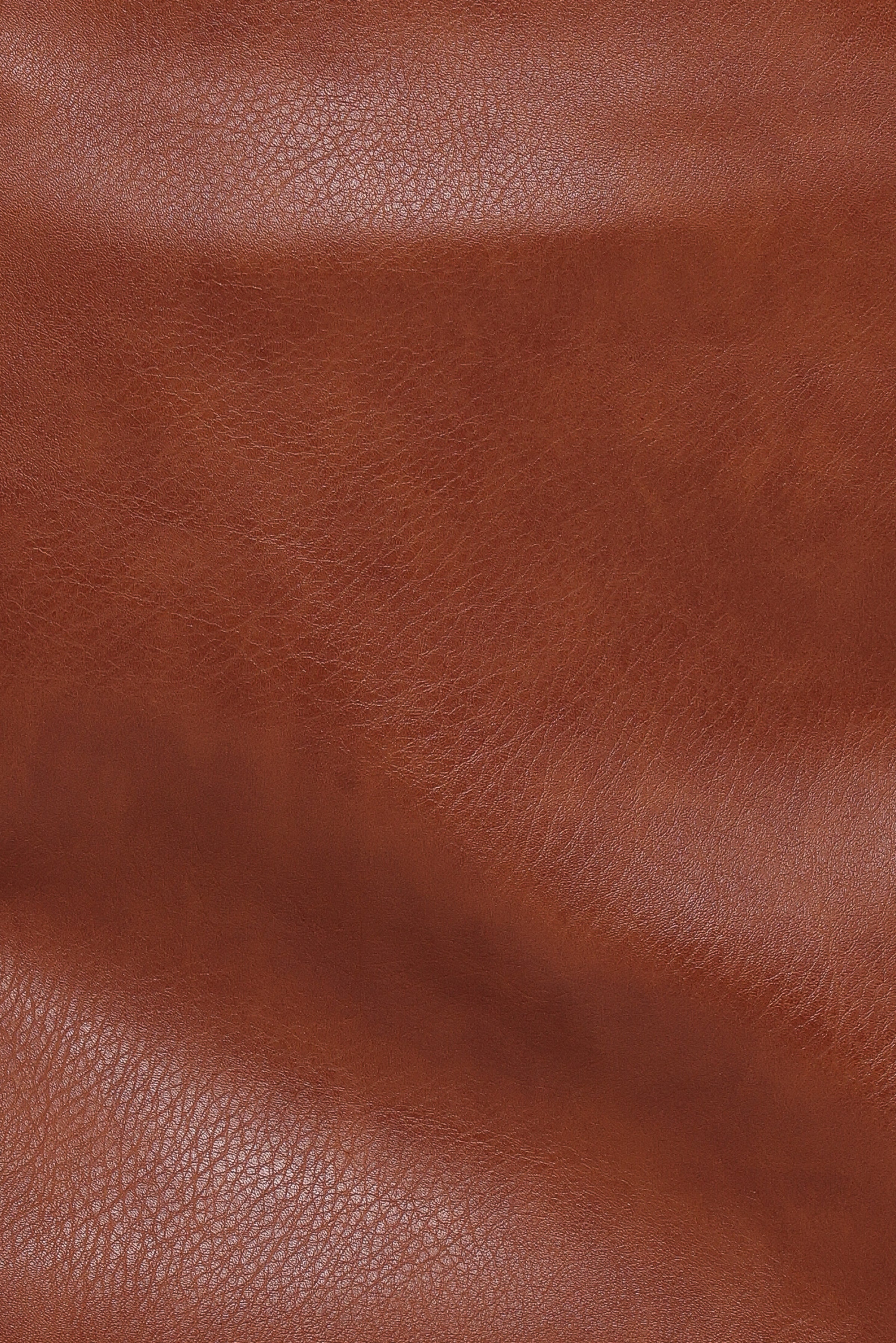 Petal and Pup USA BOTTOMS Catania Faux Leather Mini Skirt - Camel Brown